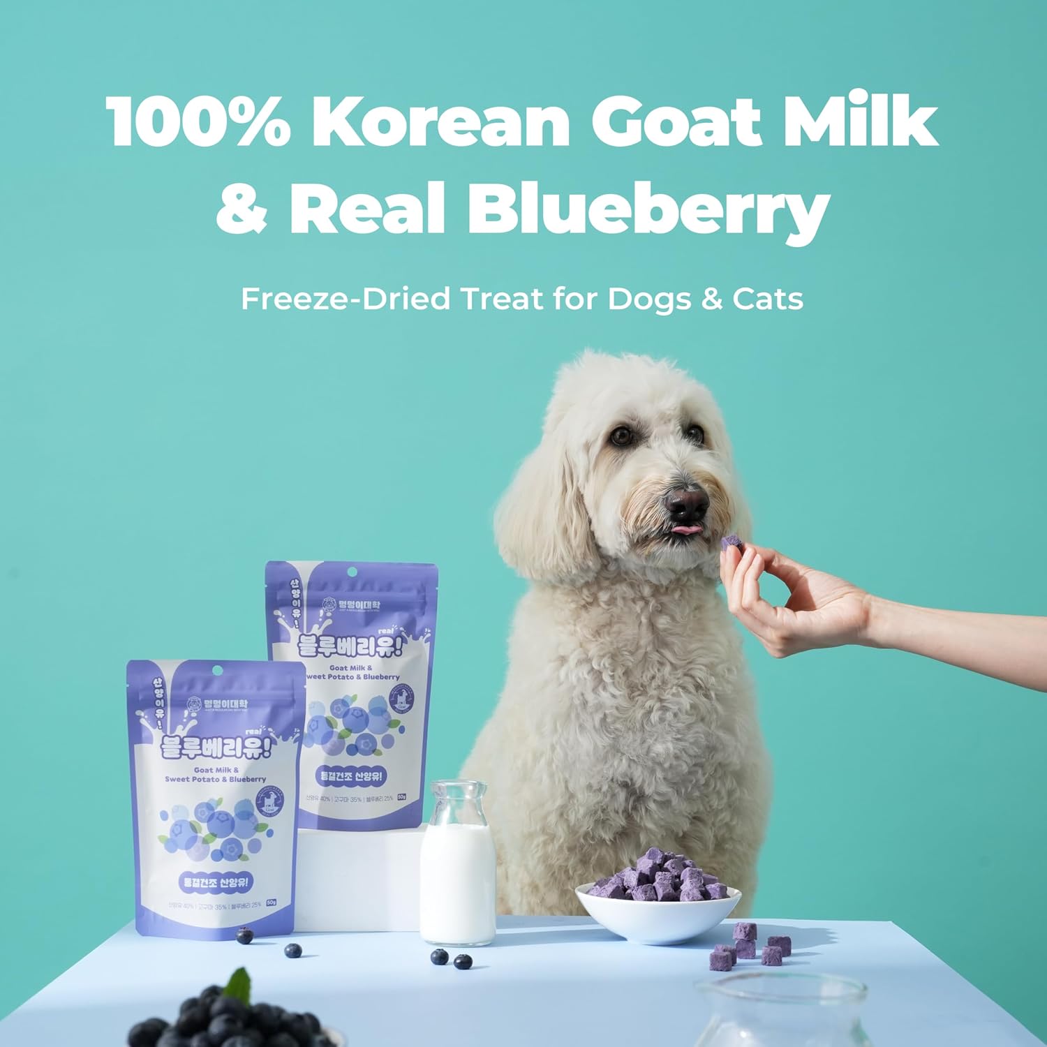 It's Goat! (Blueberry)