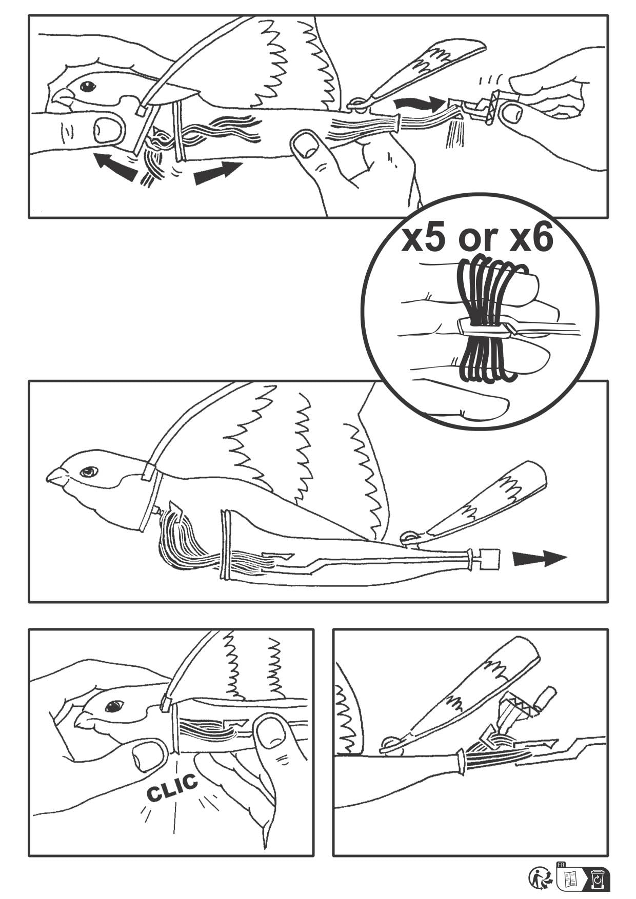 TIM BIRD