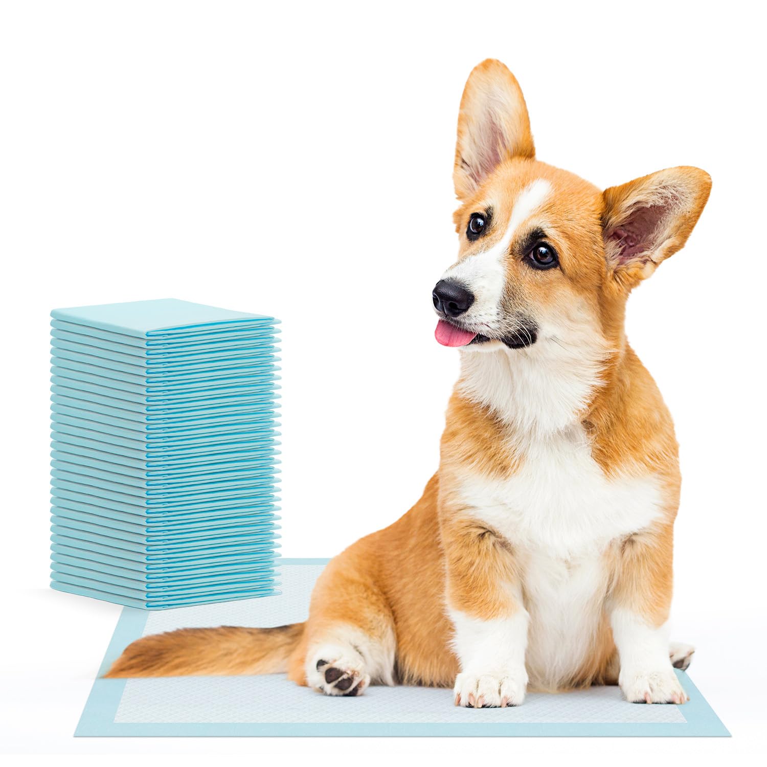 Tapis pour chiots ARNOMED pour éviter les fuites et protéger vos parquets