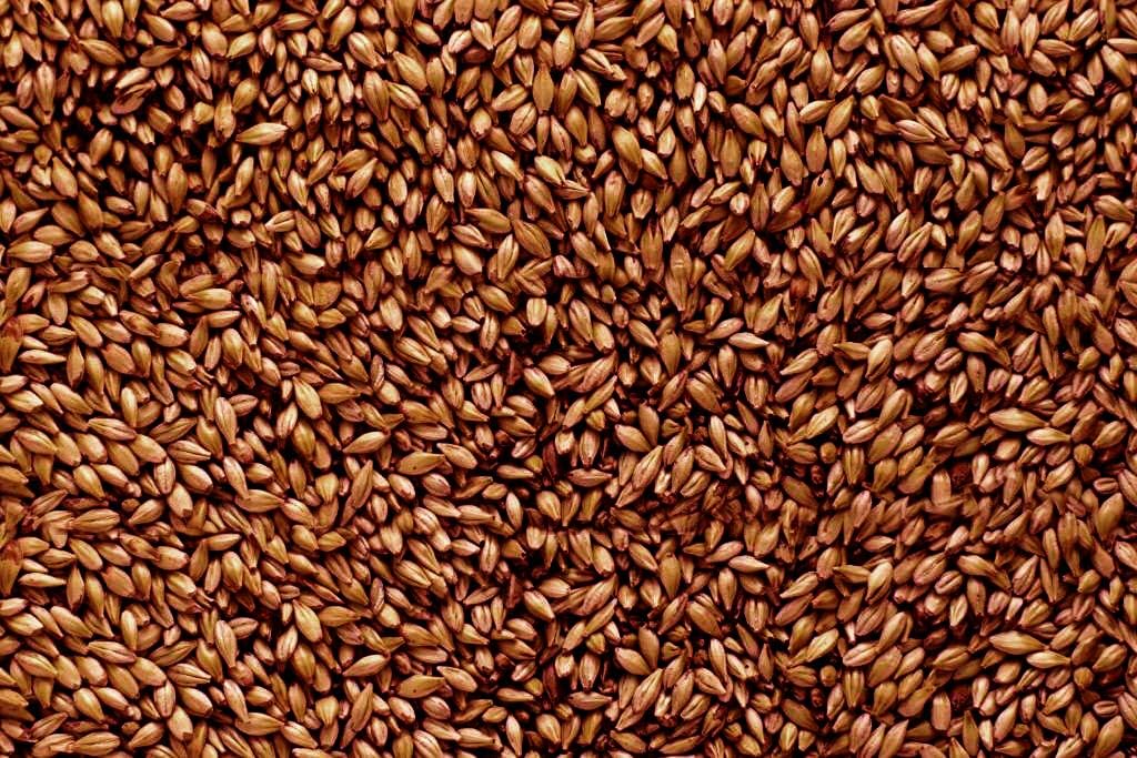 Malt - Briess - Caramel 40L (50 lb Sack)