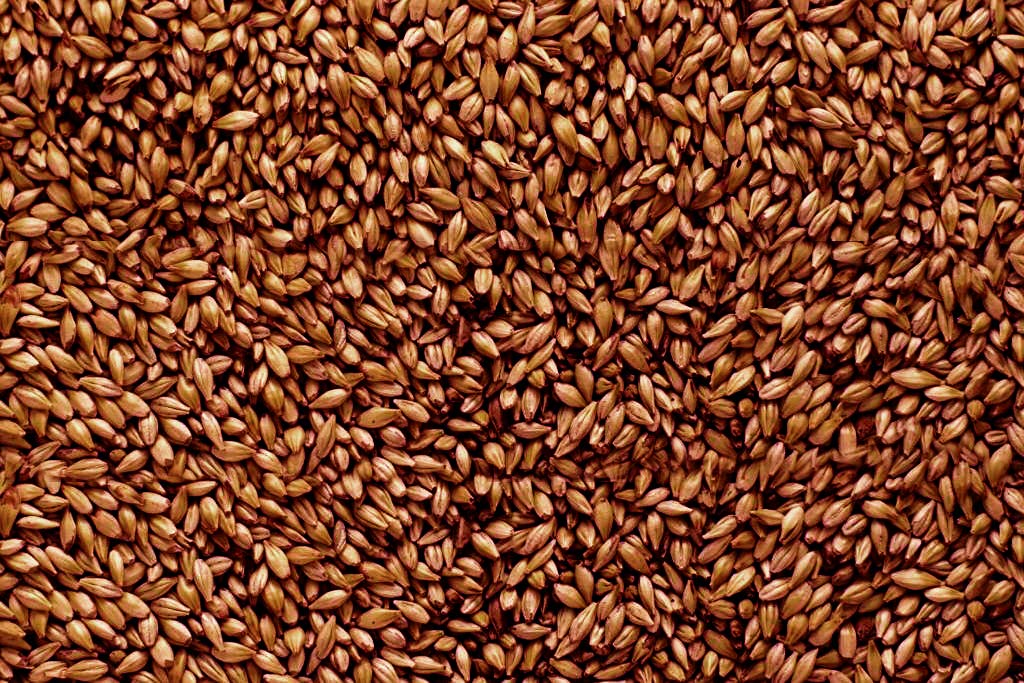 Malt - Briess - Caramel 60L (50 lb Sack)