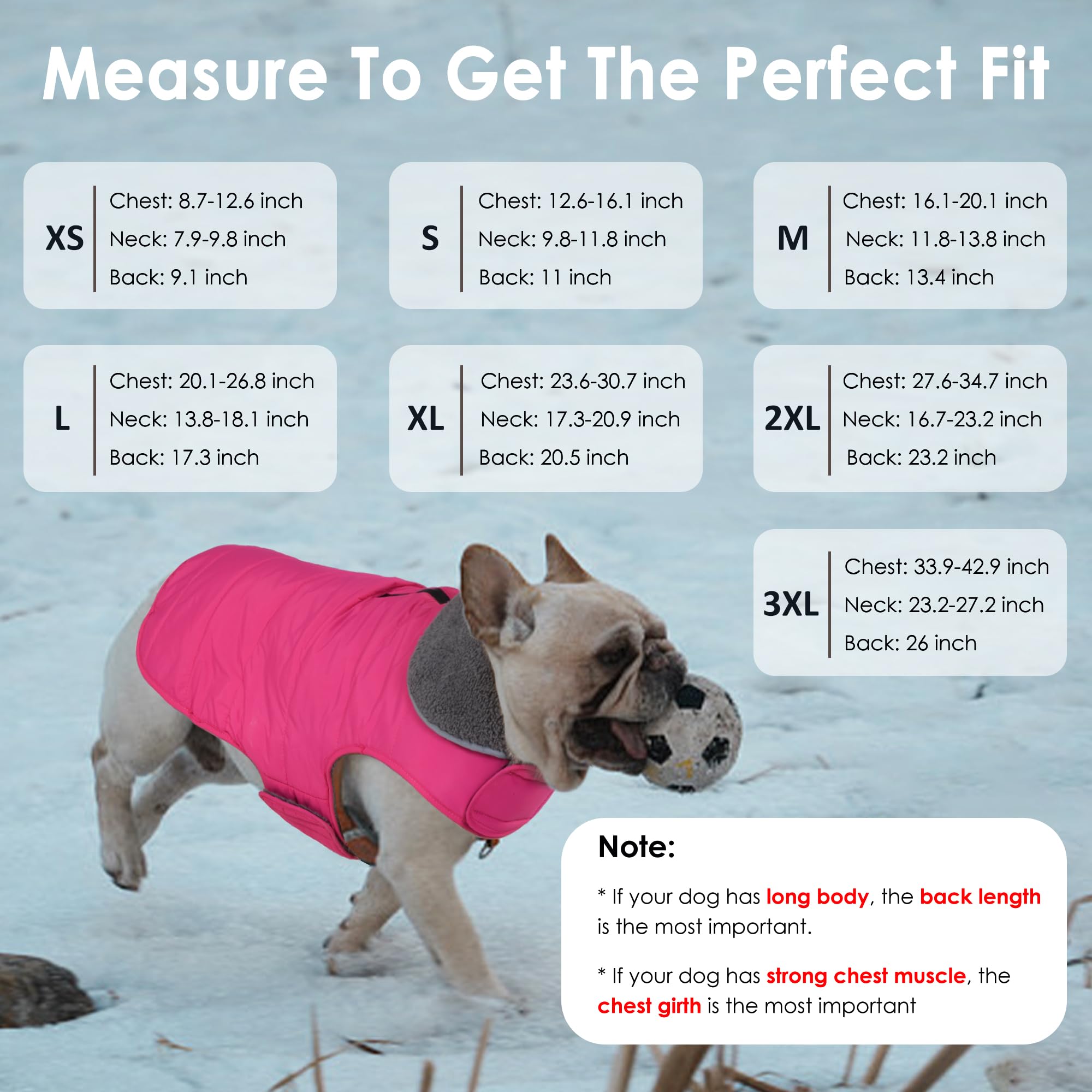 Petglad Abrigo de invierno para perro, chaqueta impermeable para perro con agujero para correa con cremallera, chaqueta de nieve reflectante ajustable para perro, chaleco de forro polar acogedor para