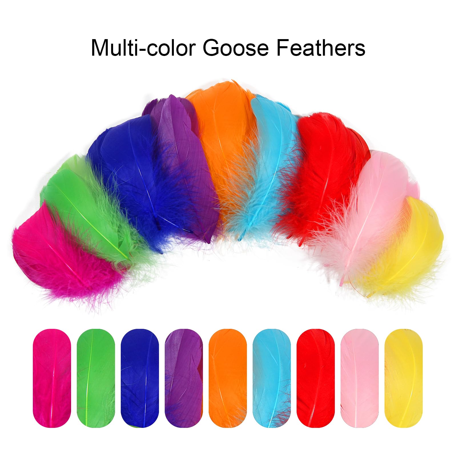 Amazon.co.jp: FeelfunFeather カラフルな羽 1000個 3~5インチ 