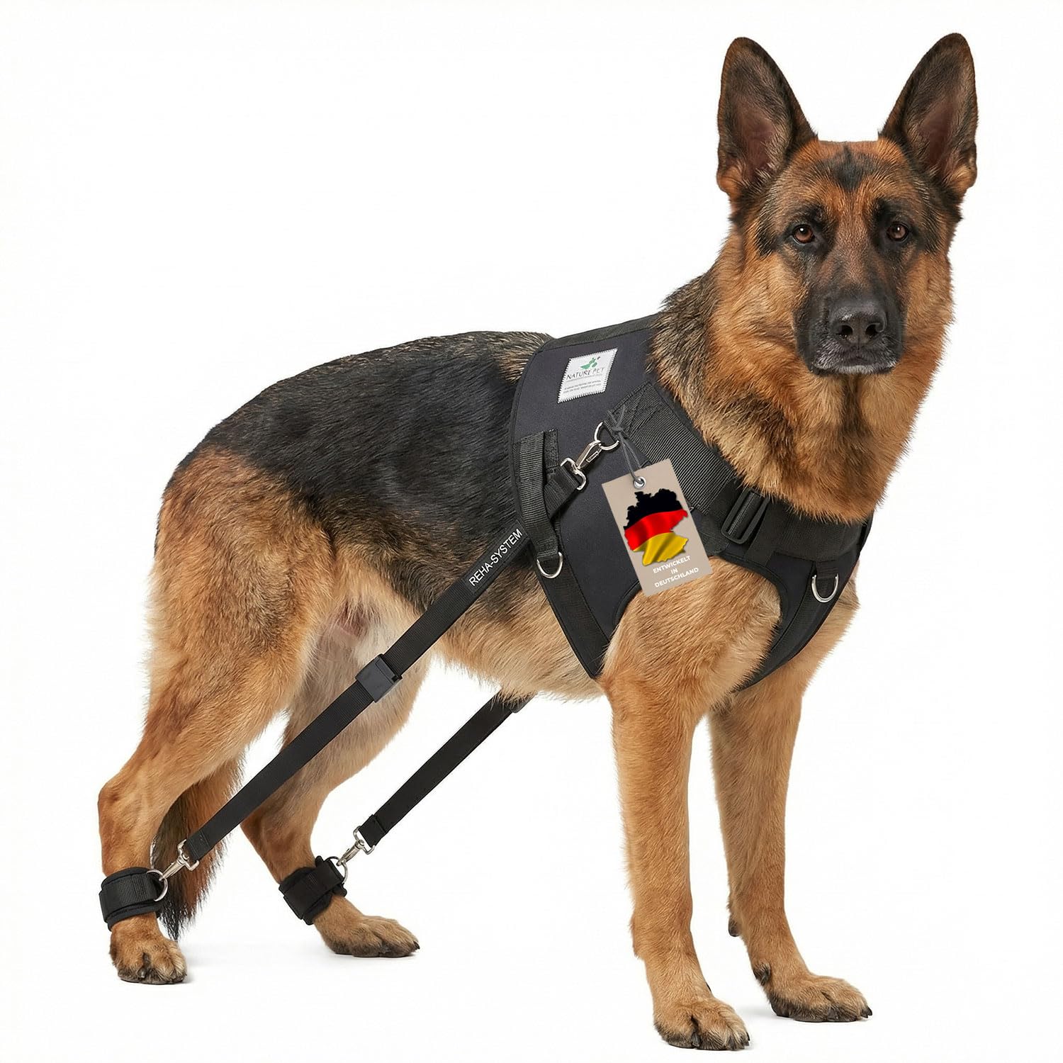 FlexiPander - Arnés de Entrenamiento para Perros con Problemas en la Cadera y en Las Patas traseras XL