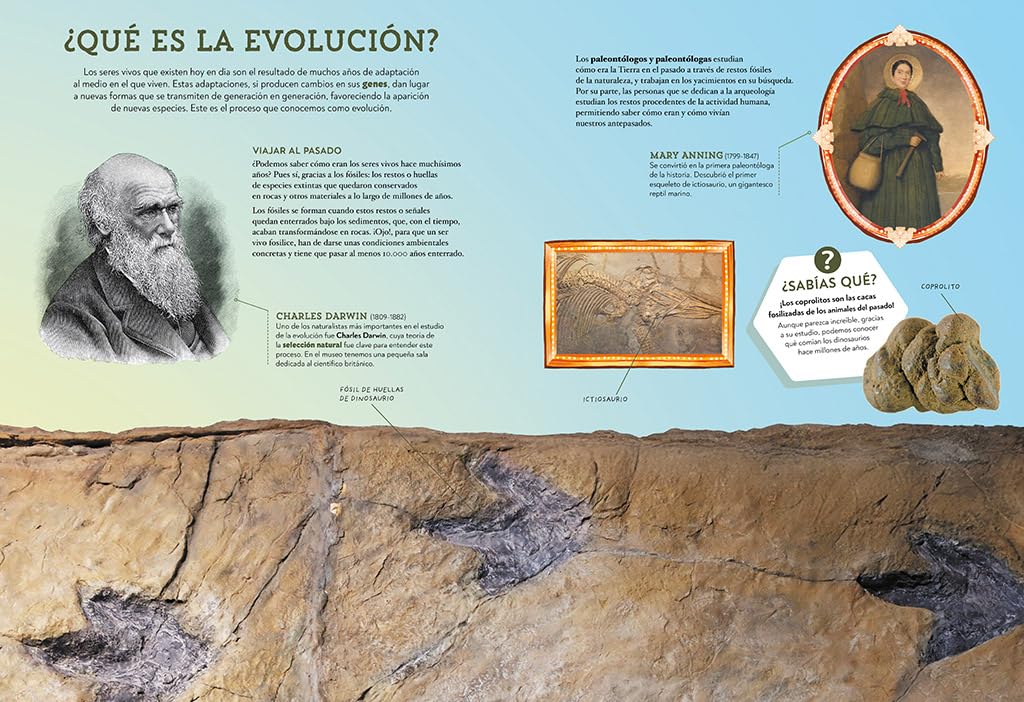 Animales asombrosos: Un recorrido fascinante por la biodiversidad (B Plus)