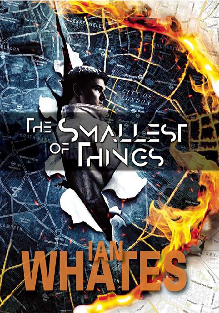 Buy The Smallest of Things — BookShops.in
