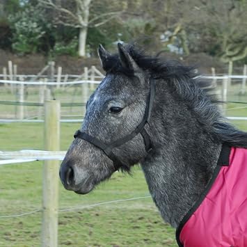 Rhinegold Field Safe Foal Headcollar