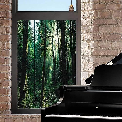 Miniatura 3 de Película de vidrio esmerilado para ventana de naturaleza, película de vidrio esmerilado, puesta de sol en bosque, árboles del bosque, paisaje