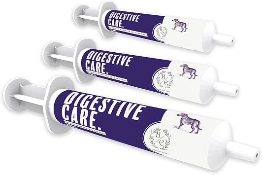 Vet Quality Advanced Pet Pre & Probiotic Paste - Fast Acting Support For Dogs & Cats - Diarrhoea - Digestive Upset - Bacterial Gut Imbalance - Firms Loose Stools   15ml Syringe Pack of 1