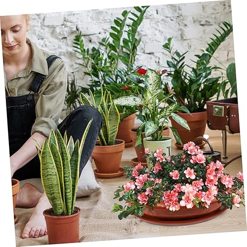 Miniatura 6 de CIMAXIC 1 juego de maceta, maceta de cultivo de plantas, base de maceta, plato de planta, bandeja de drenaje de plantas, macetas decorativas para