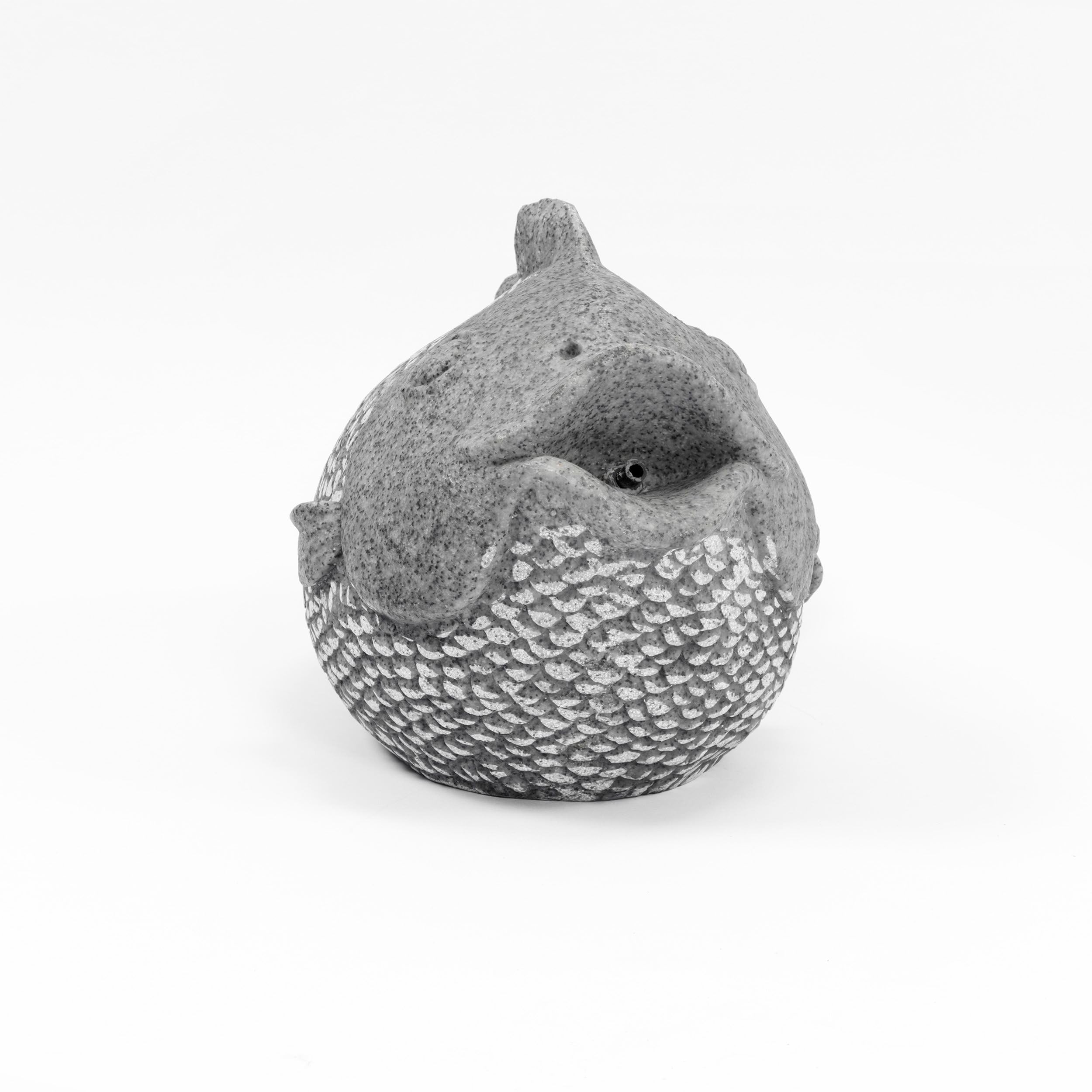 Esotec Solar Wasserspeier Komplettset, Fisch im Natursteindesign, Wasserspiel für Gartenteich, Vogeltränke, Vogelbad, Gartenbrunnen mit Solarpumpe 101665