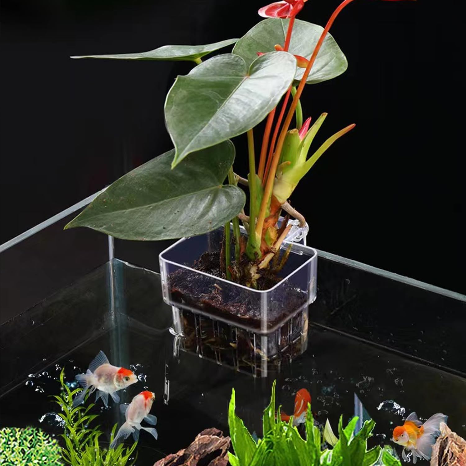 Support Plante D'aquarium, Pot pour Plantes D'Aquarium, Acrylique Transparent Tasses Panier pour Plantes Aquatiques Suspension pour Plantes, Décoration pour Aquarium, 2 Pièces