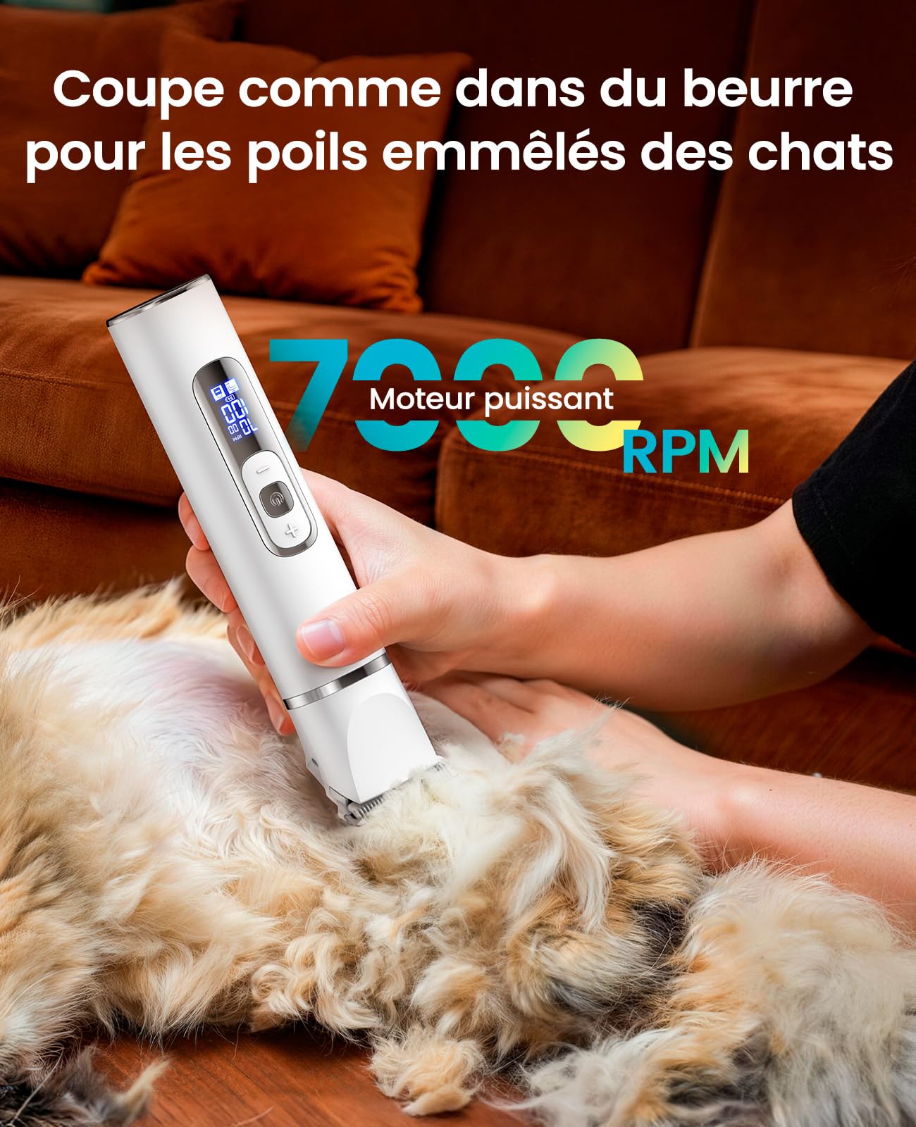 oneisall 3 en 1 Tondeuse Pour Chats et Chiens, écran LCD, Rasoir Silencieux Pour Chats, Tondeuse Professionnelle Pour et Chiens Sans Fil, Pour Pattes, Fesses, Nœuds, Crottes