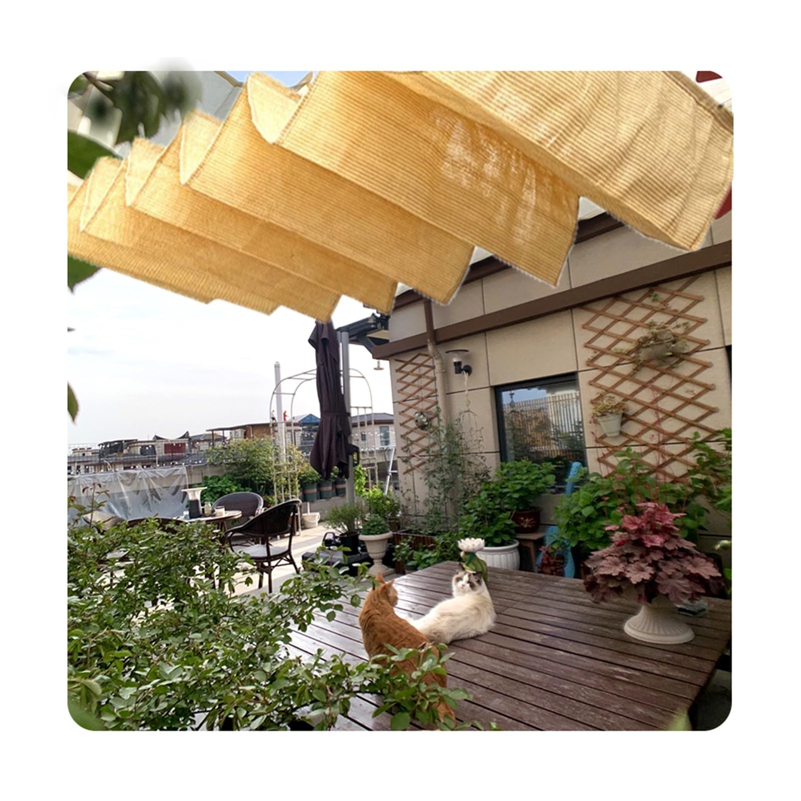 Store ondulé réglable contre la surchauffe des tonnelles et terrasses de jardin