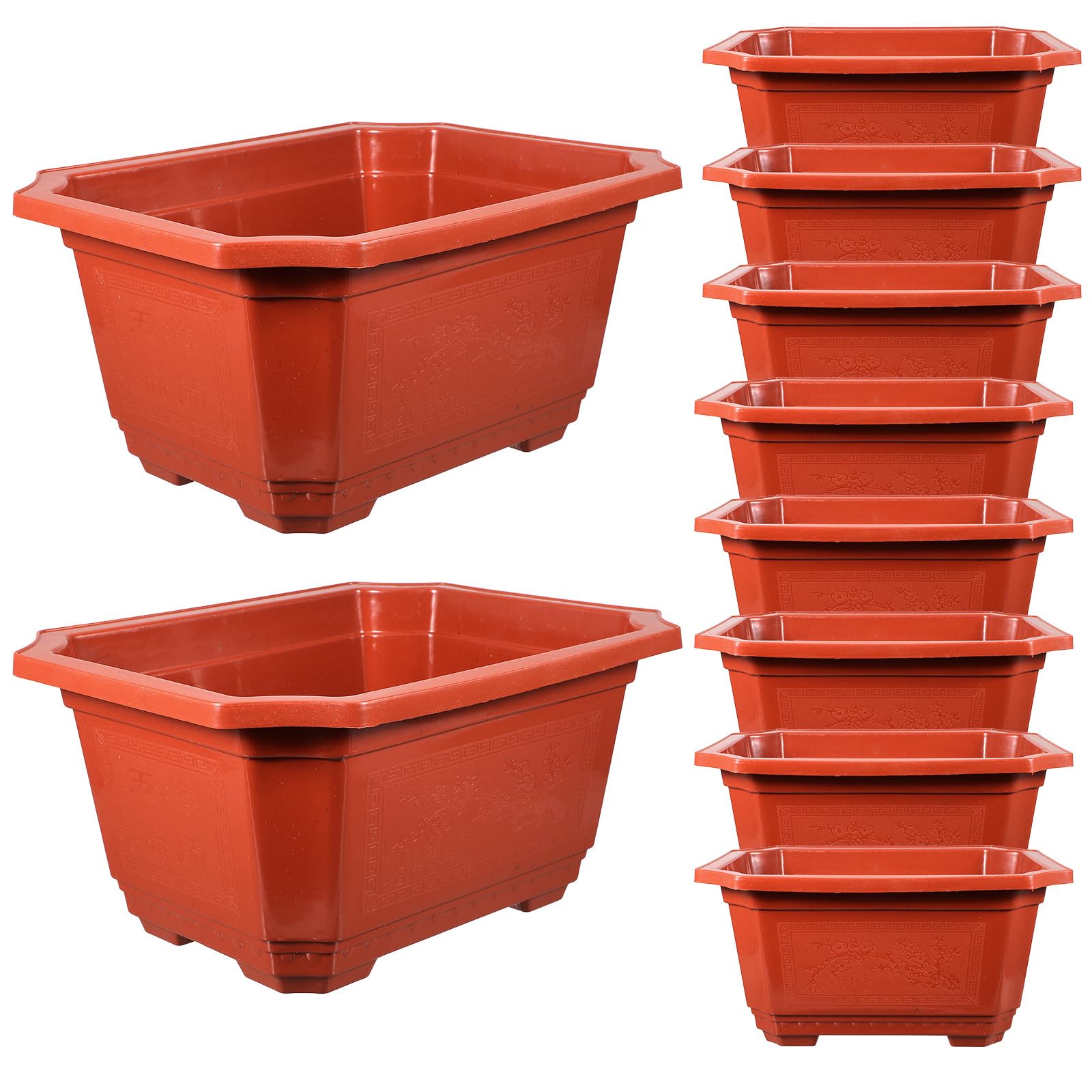 Pot de jardinage domestique plastique pour aménager une terrasse verdoyante de fougères