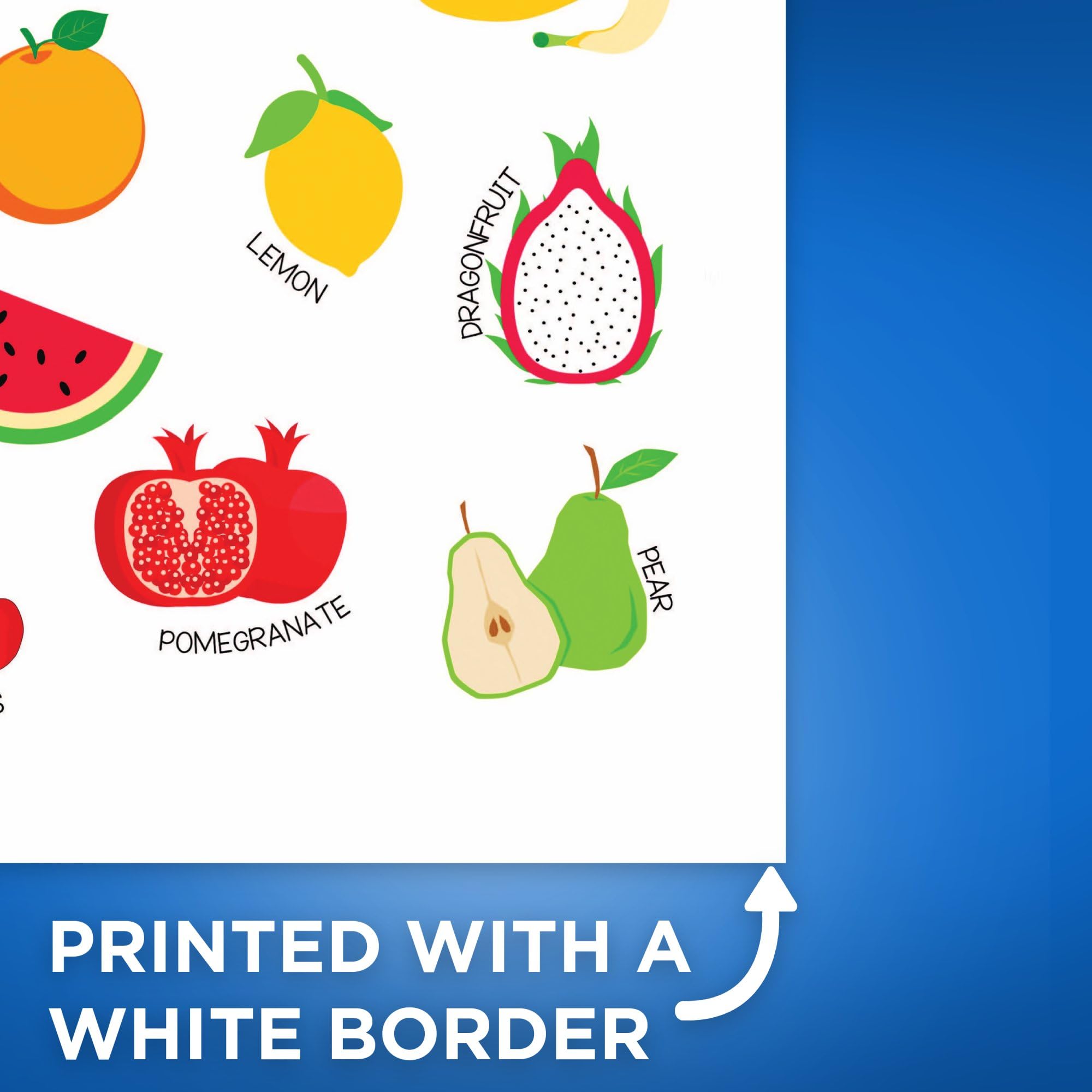 Amazon.com: Bliss Monkey Co. Fruit Diagram Poster - Fruit