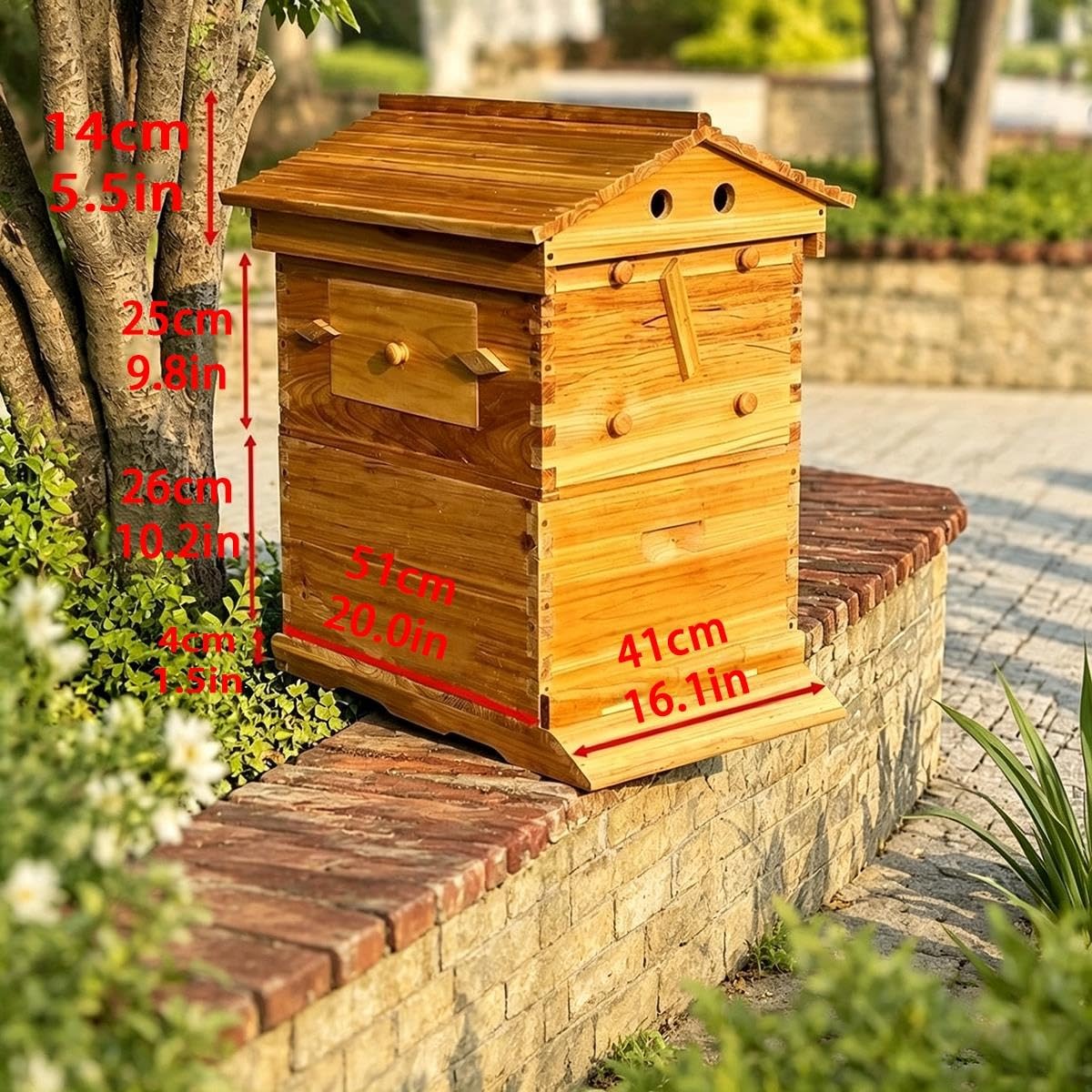 Ruche, Bois de Sapin Ciré avec Fenêtre d'Observation pour Apiculture Jardin