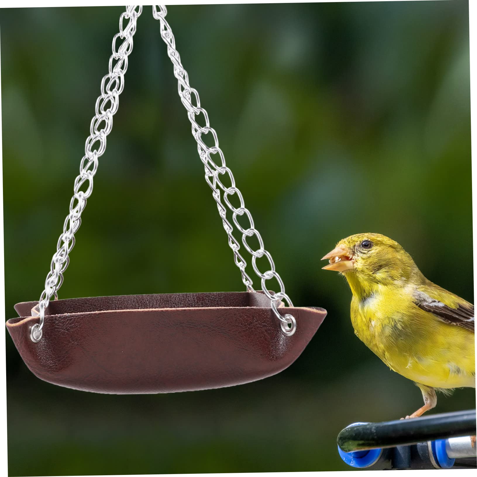 BESPORTBLE 4 Pz mangiatoia per colibrì pannello finestra della mangiatoia per uccelli mangiatoie per uccelli bird feeder contenitori alimentatore trasparente Contenitore di cibo abs Coffee