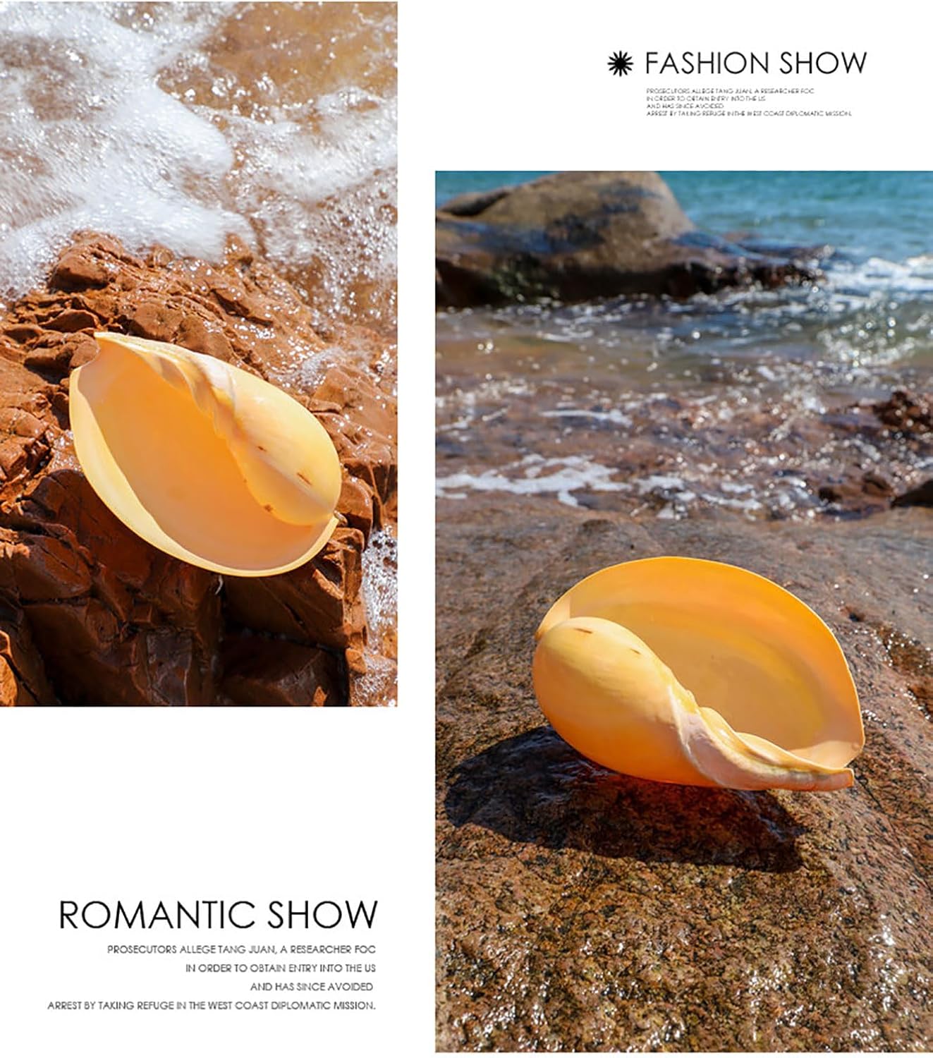 Shells Natural Conch Shell Natural Conch Shells Great for Fish Tank Wedding Decor Beach Theme Party Home Decorations DIY Crafts Air Plants(D)