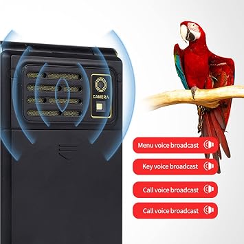 GSM Flip Phone for Elderly, Unlock Senior Flip Phone with Big Button, BT Flip Phone for Seniors, Fast Dial, SOS, Camera, Radio, Calendar, Calculator/3009