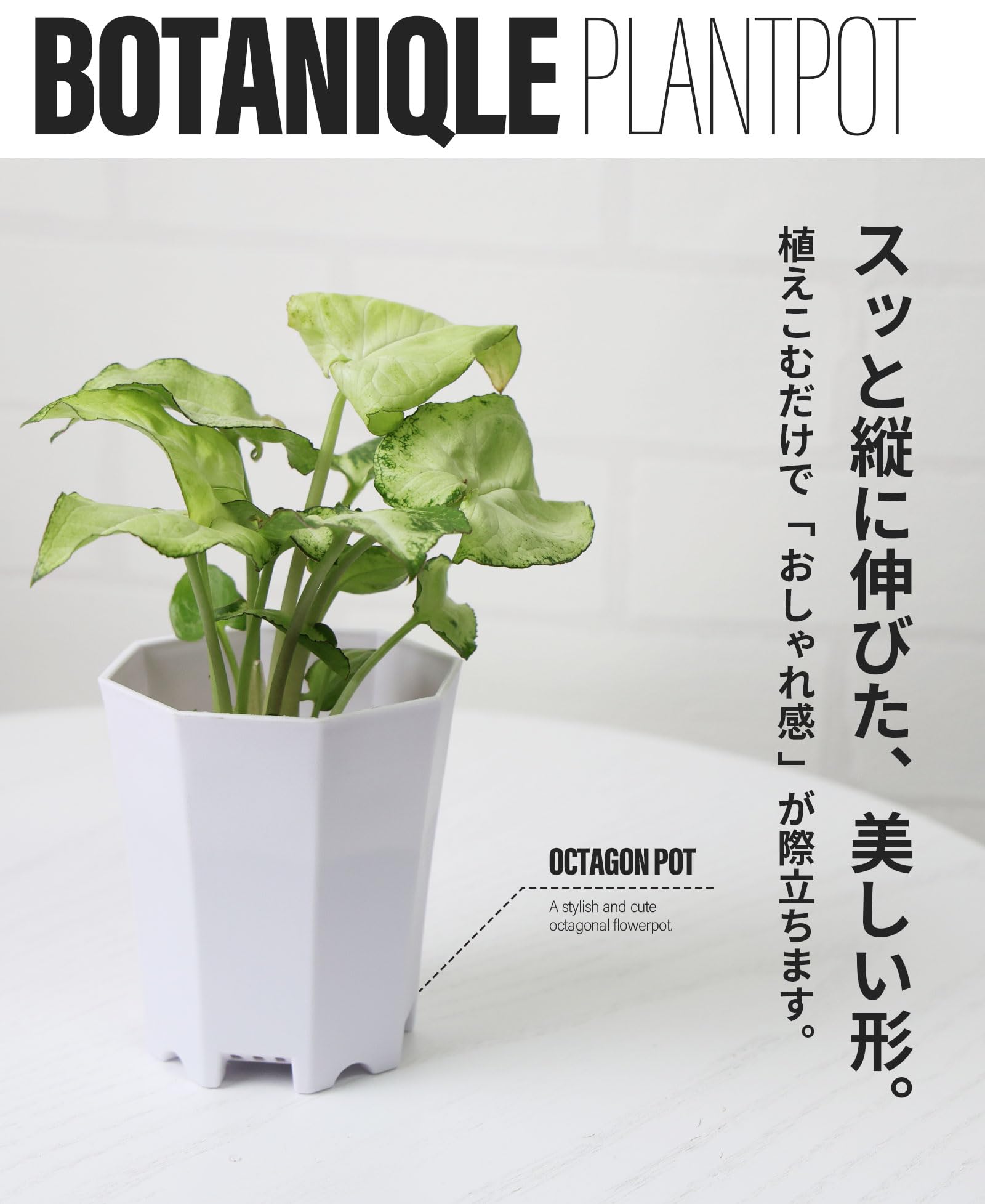Amazon.co.jp: おしゃれ 植木鉢 2号 ミニ プラ鉢｜BOTANIQLE 八角形