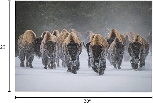 Miniatura 6 de Especies en peligro de extinción Invierno Guerrero Búfalo Bisonte En Nieve Naturaleza Invierno Manada De Ganado Vida Silvestre Estética Carteles