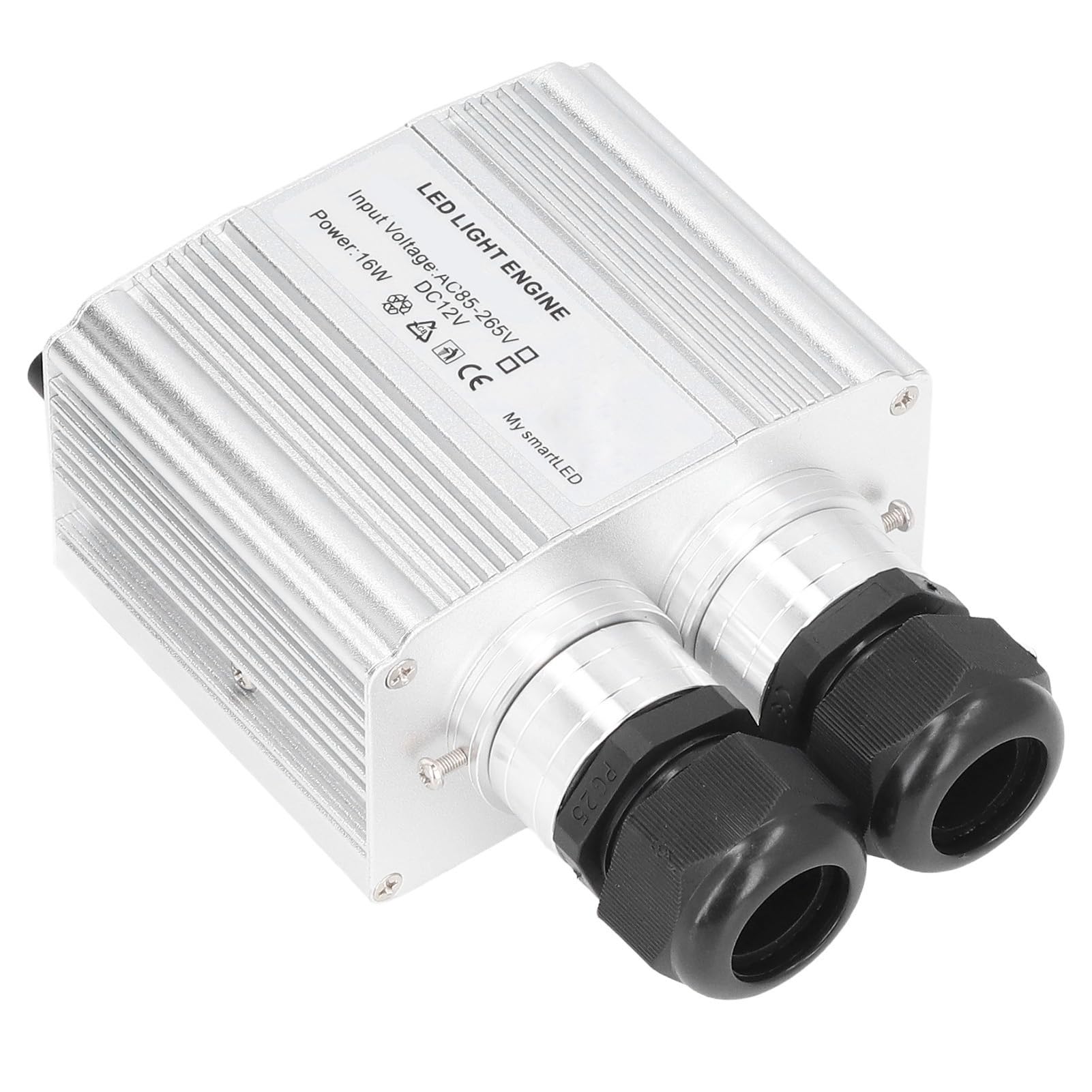 Luce a Fibra Ottica 16W RGBW con Telecomando, Illuminazione Decorativa a Doppia Testa per Casa Arte Tende Schermi Auto, Controllo Vocale Luci LED Effetto Lampeggiante