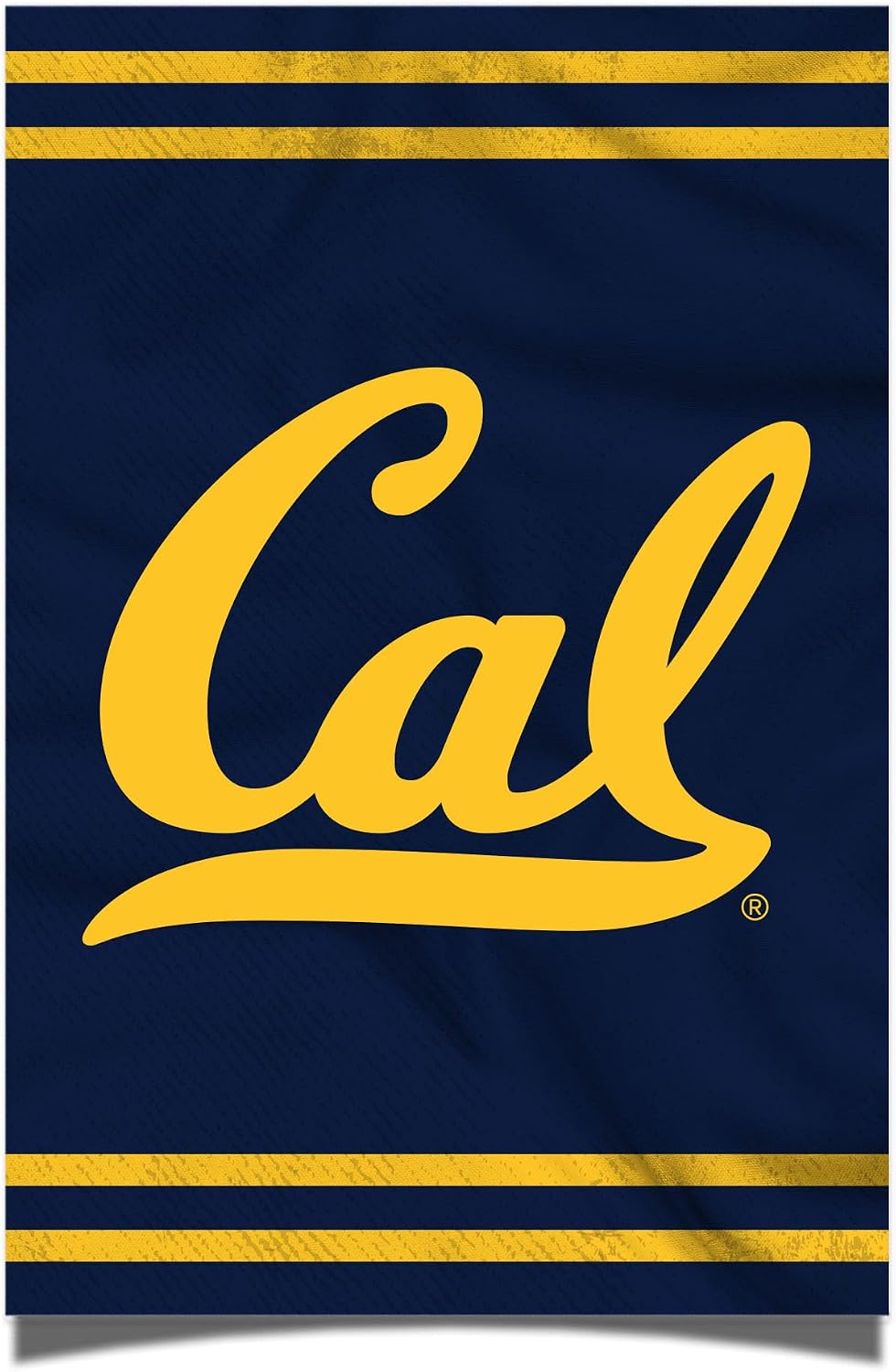 Desert Cactus University of California Berkeley Poster Golden Bears Cal UC 11 x 17 Inch Room Office Décor Decoration Official Fan Gear (11x17,Version 3)