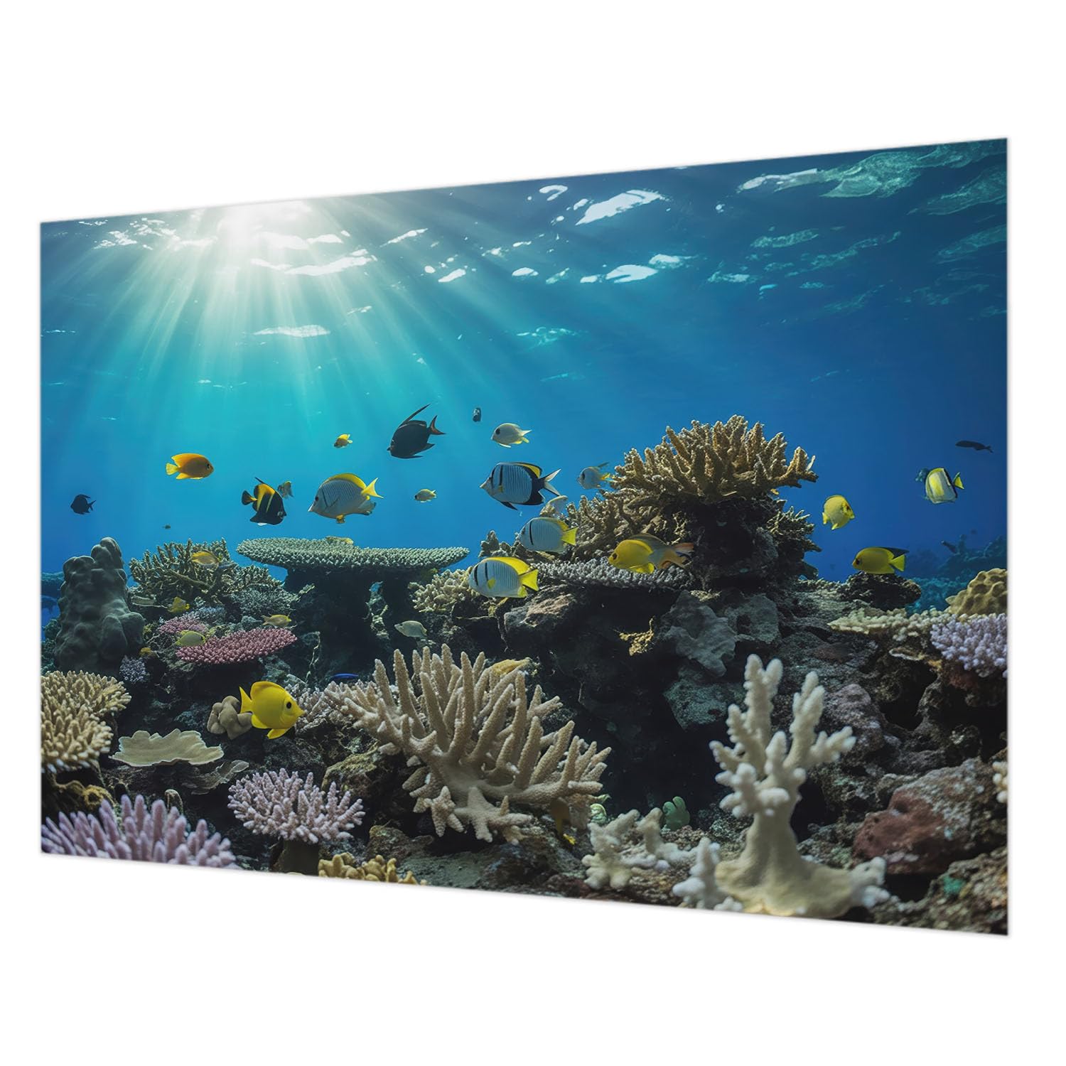 Papier Peint Intissé Monde Sous-Marin 208x146 cm pour Salon et Chambre avec Colle Incluse