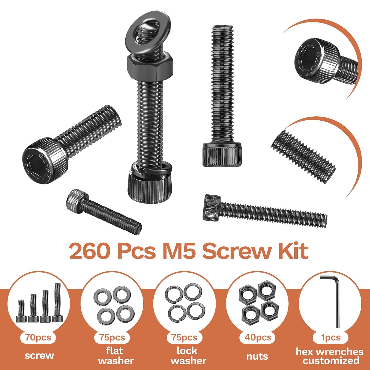 260 Pcs M5 Screws Assortment Kit, M5x 8/10/12/16/20/25/30/35mm M5 Bolts Kit 12.9 Alloy Steel Nuts and Bolts Assortment Kit Black Zinc Plated Hex Socket Head Screws Nuts Bolts and Washers Set M5x8mm-35mm 260Pcs image 3 of 7 B0DFWDTSBZ