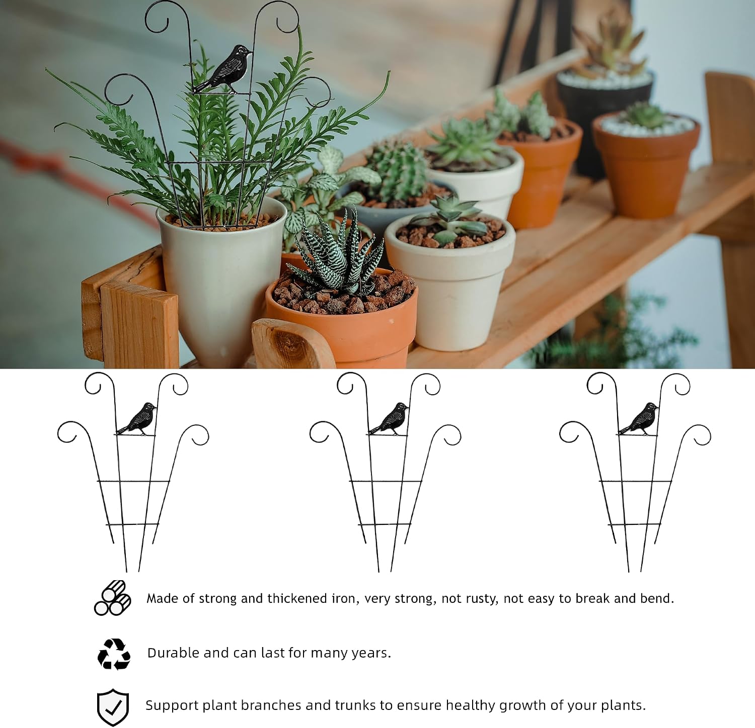 LONCHDAN Indoor Plant Trellis for Climbing Plants Indoor Trellis Stackable Indoor Metal Trellis 3 Pack for Garden Plants Support Small House Plant Trellis for Vines, Flower(3PCS Bird Trellis)