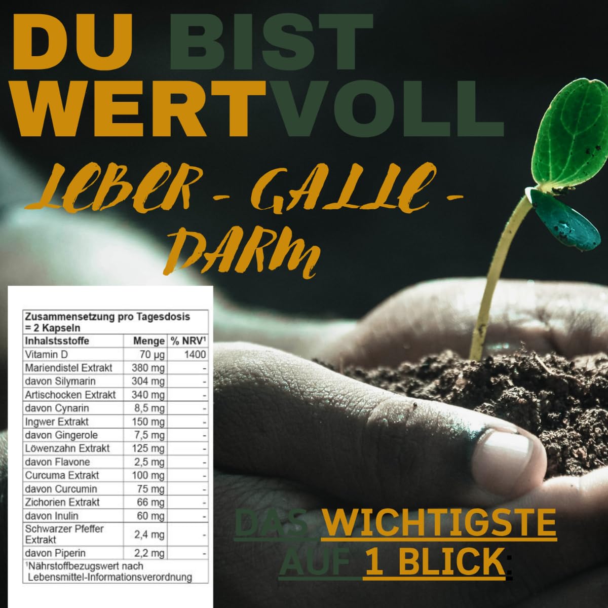 Leber-Kur für 3 Monate 180 Kapseln, 8-Fach-Komplex Mariendistel Kapseln hochdosiert mit 80% Silymarin Artischocke, Löwenzahn, Curcuma, Ingwer, Vegan & Laborgeprüft + Gratis-Geschenk