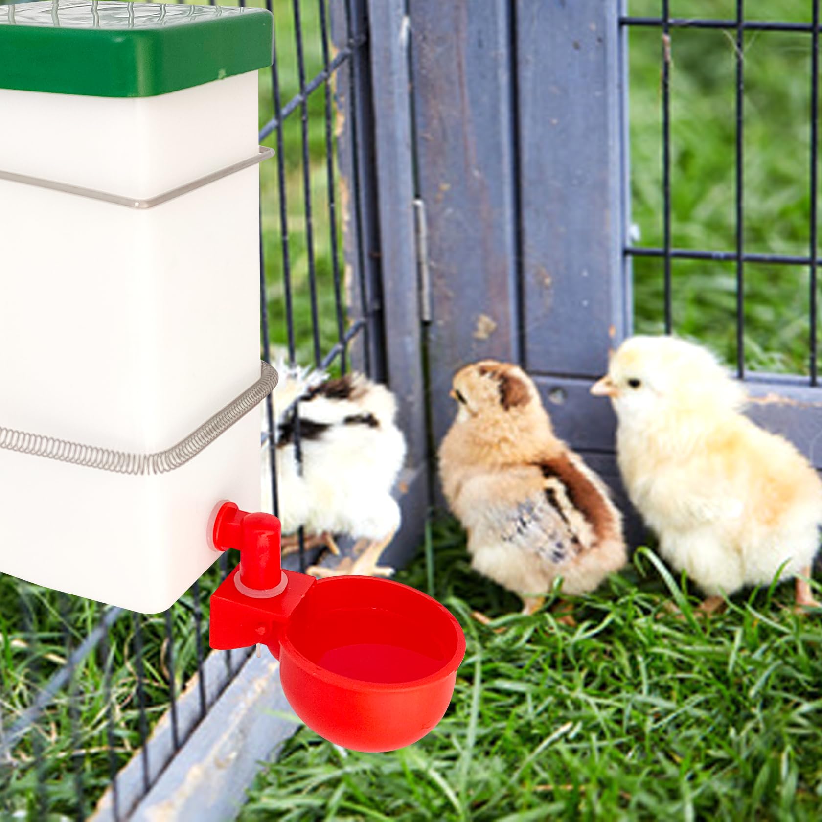 Sistema de riego automático para pollitos, 1 litro, vaso de riego automático para aves de corral, utilizado para jaulas (2)