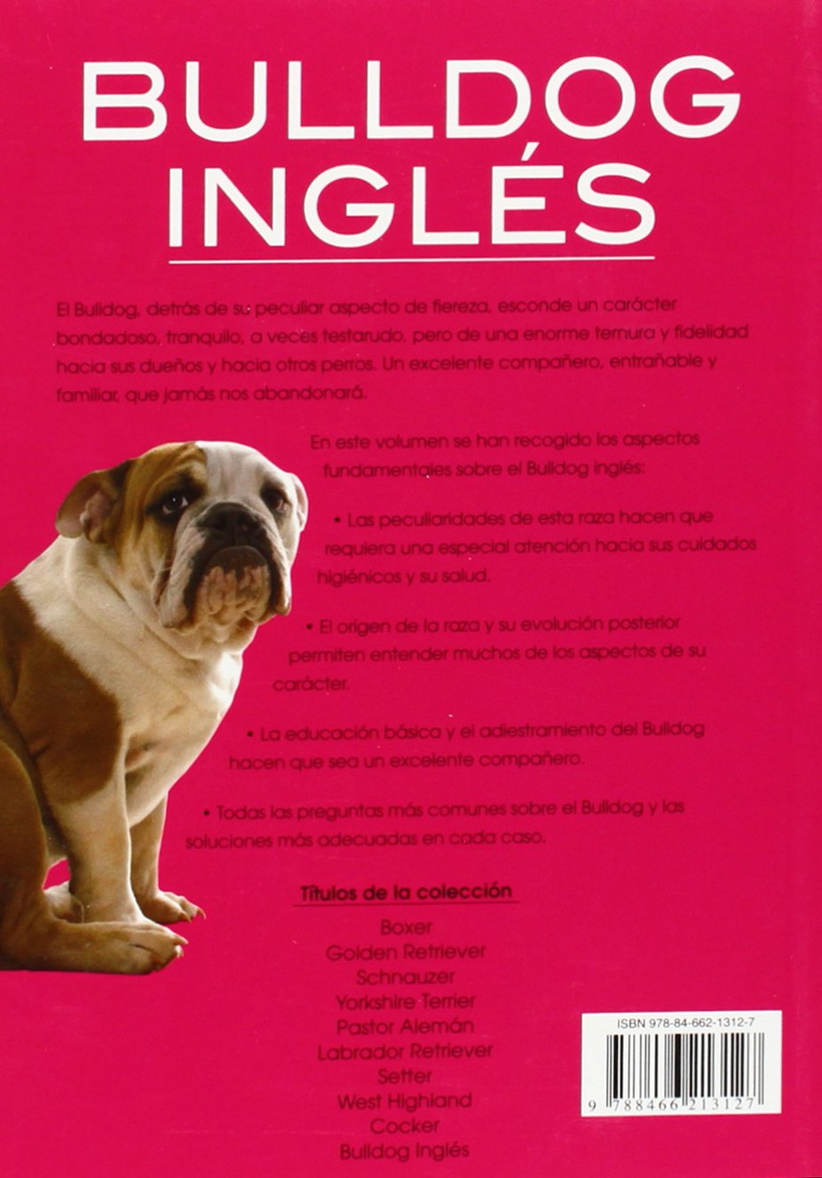 Bulldog ingles/ English Bulldog: Historia, higiene, alimentacion, educacion, salud/ History, Hygiene, Nutrition, Education, Health