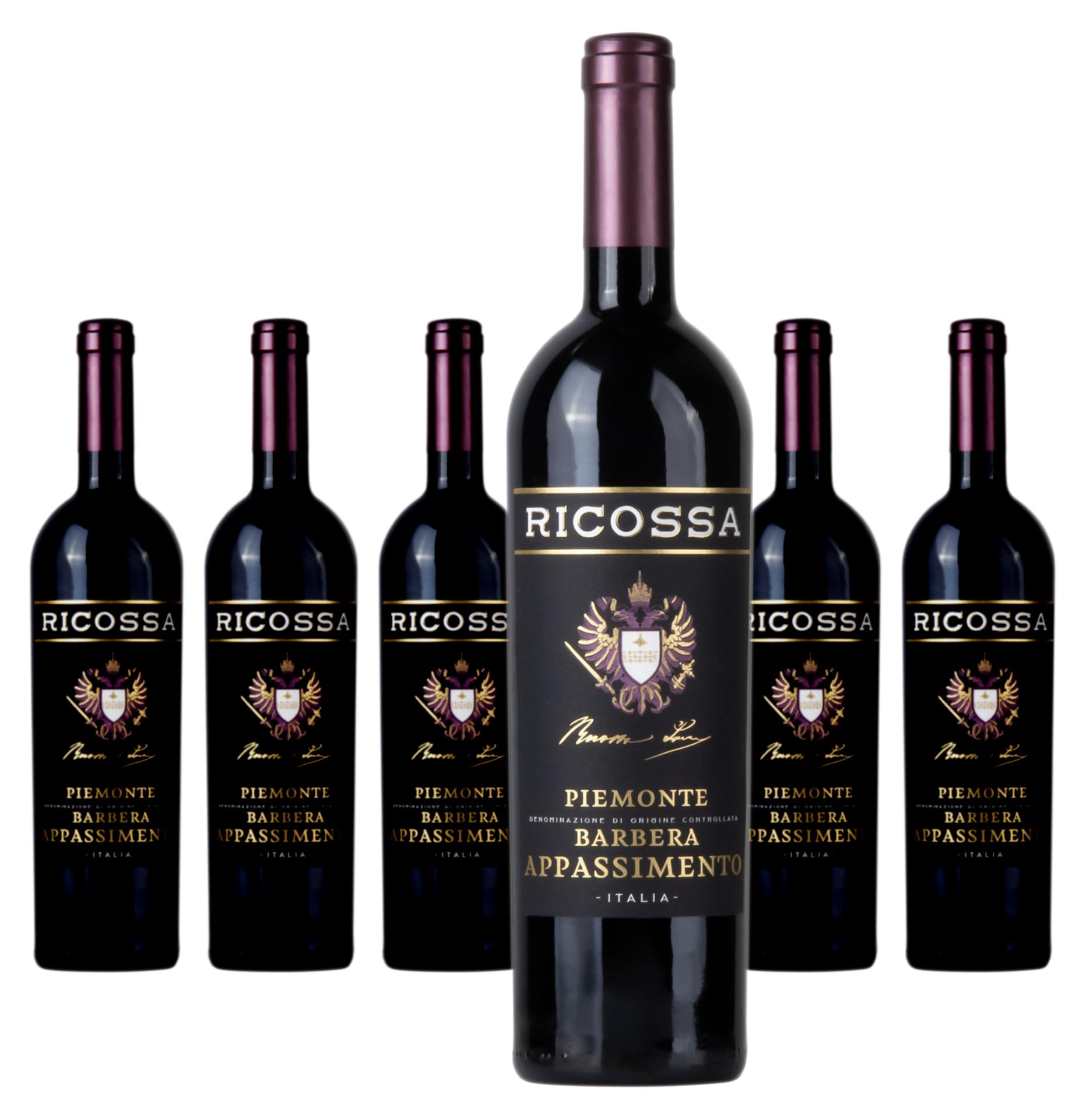 Ricossa Barbera Piemonte DOC Appassimento - Rotwein aus Italien - 6 x 0,75L
