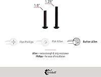 Vista 2 de Fireball Dragon Skateboard Hardware Kit Negro – Juego de tornillos de montaje y tuercas para Longboard Skateboard & Cruiser – Tornillos de montaje