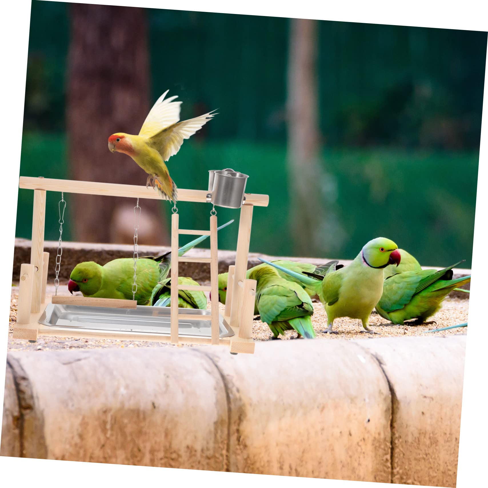 Gimnasio para Cacatúas De Actividades Juguetes para Aves Soporte De Parque Infantil
