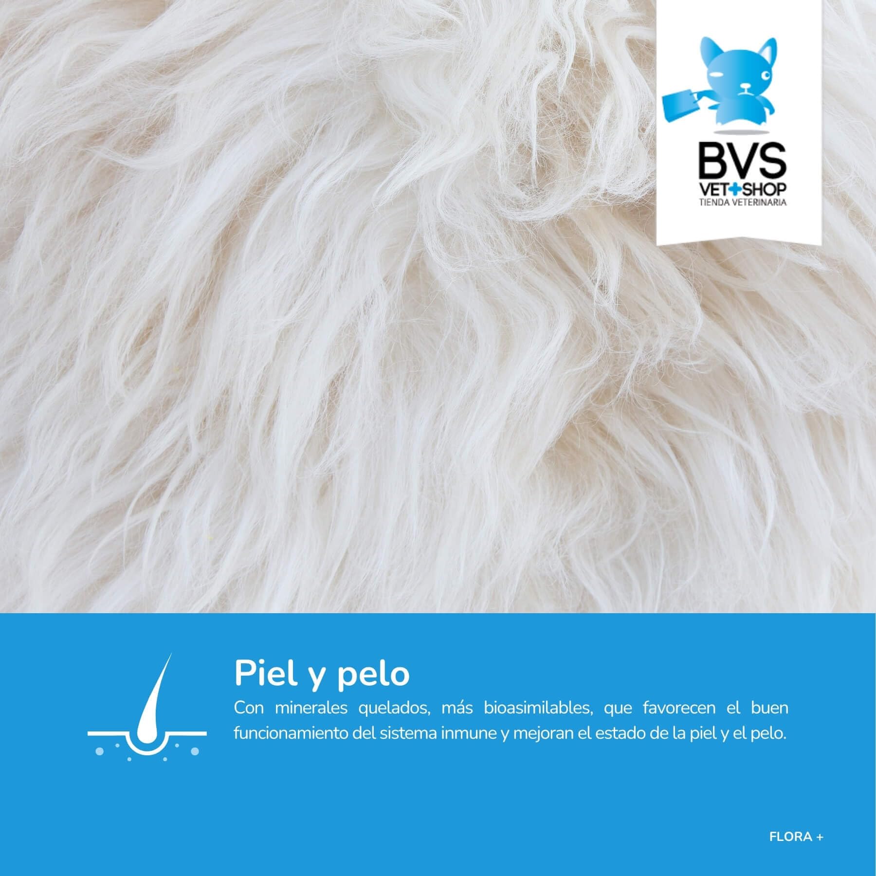 BVS Vet Shop | Flora Plus Probióticos para Perros | Ayuda a Mantener una Flora intestinal equilibrada y Saludable en tu Mascota |
