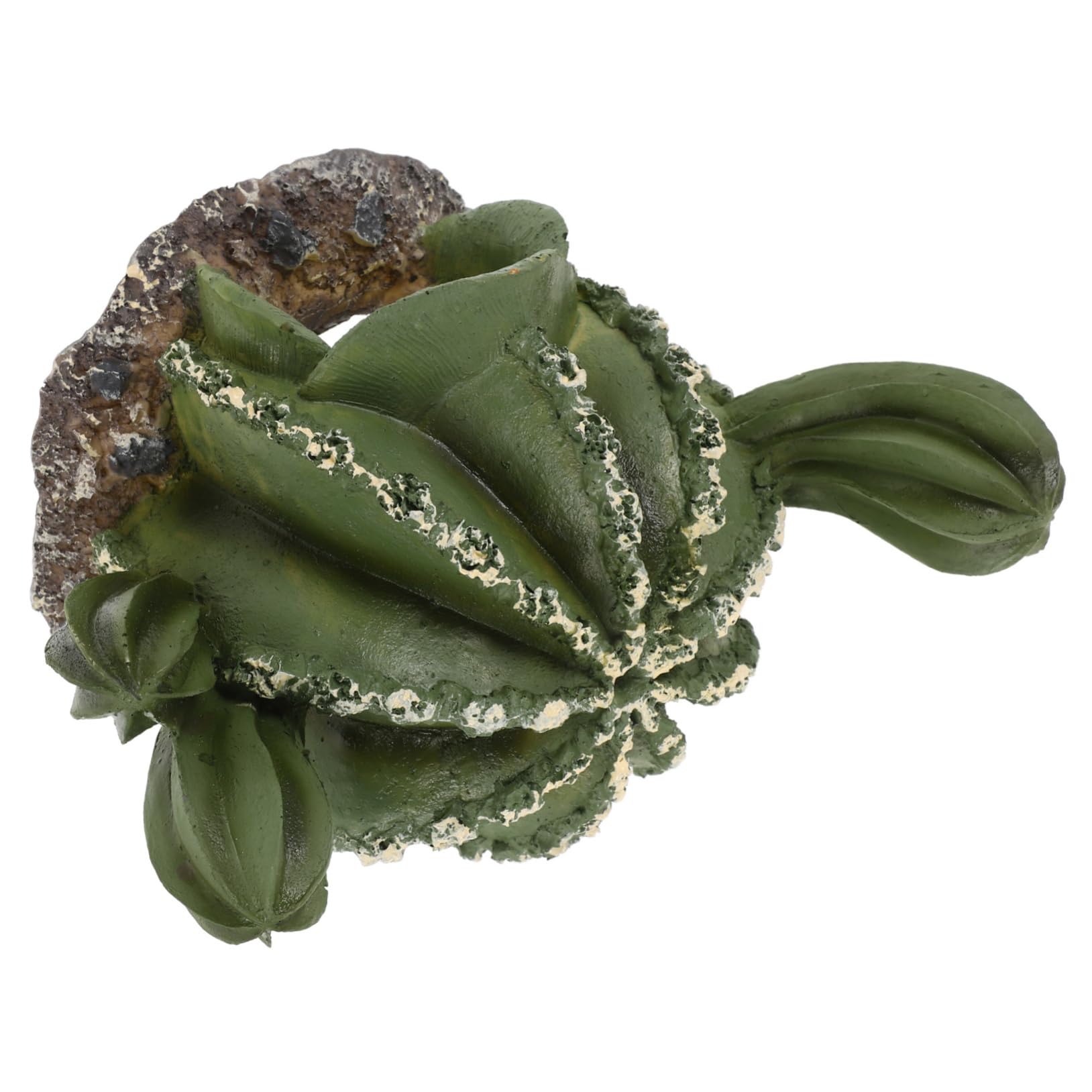BESPORTBLE 4pezzi Caverna Decorativa Resina Per Rettili Forma Di Cactus Nascondiglio Pratico Per Terrario Rifugio Naturale Per Lucertole e Altri Animali Esotici