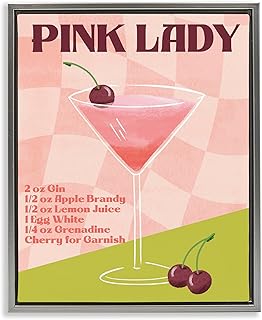 Stupell Industries Retro Pink Lady Recipe Gray Floater Framed Canvas Wal...