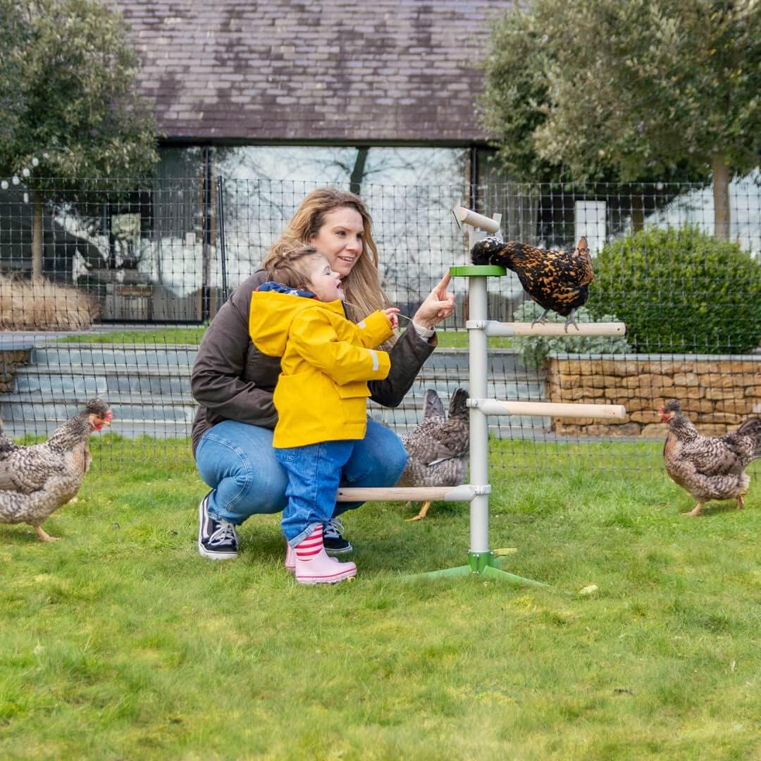 Freestanding Chicken Perch | Sturdy Wooden Universal Roosting System | Exercise, Train and Treat Your Chickens! | Place Anywhere in Your Yard | Poultry Playground Kit