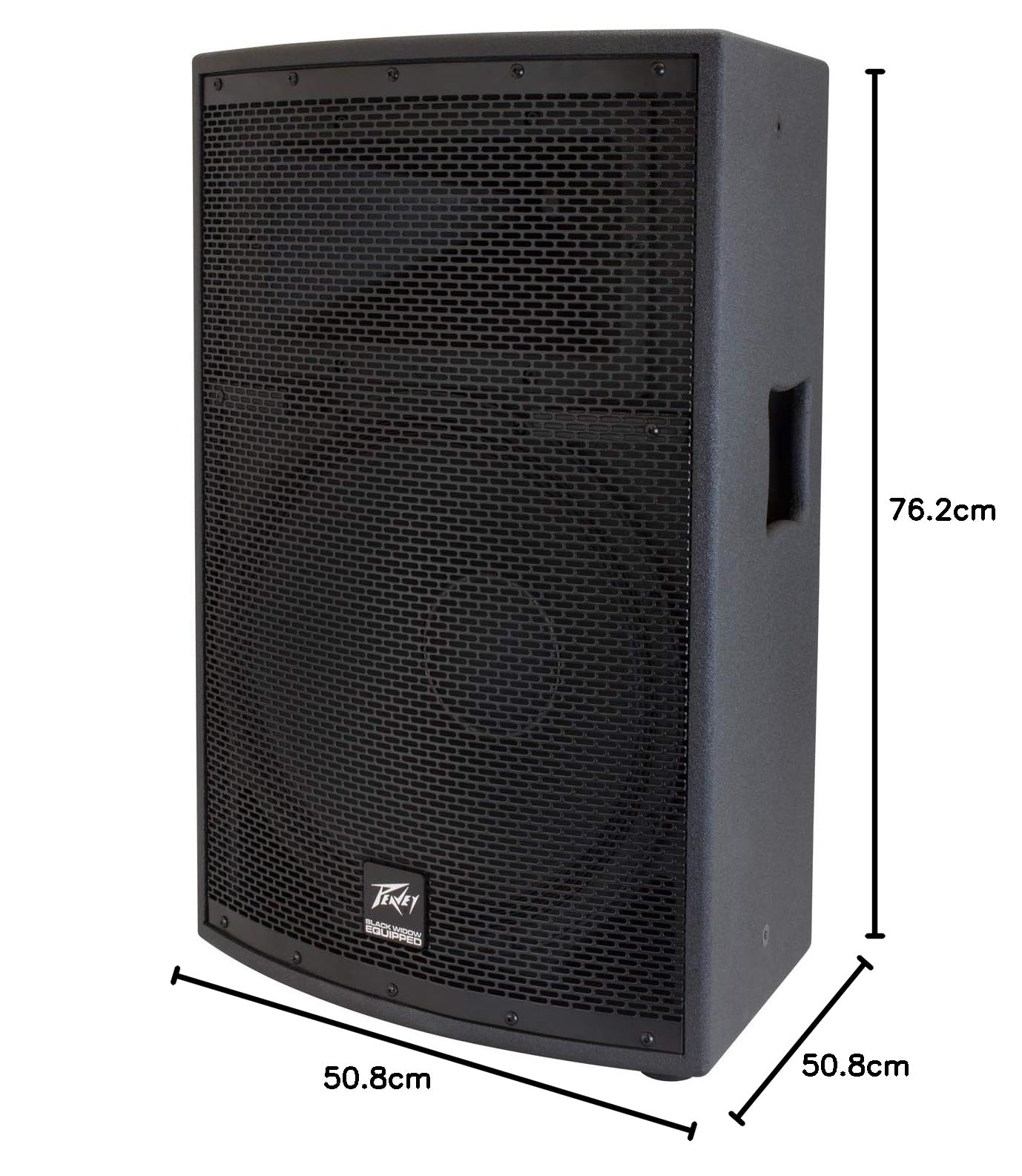Amazon.co.jp: Peavey SP 2 1000ワット 2ウェイ PAスピーカー : 楽器
