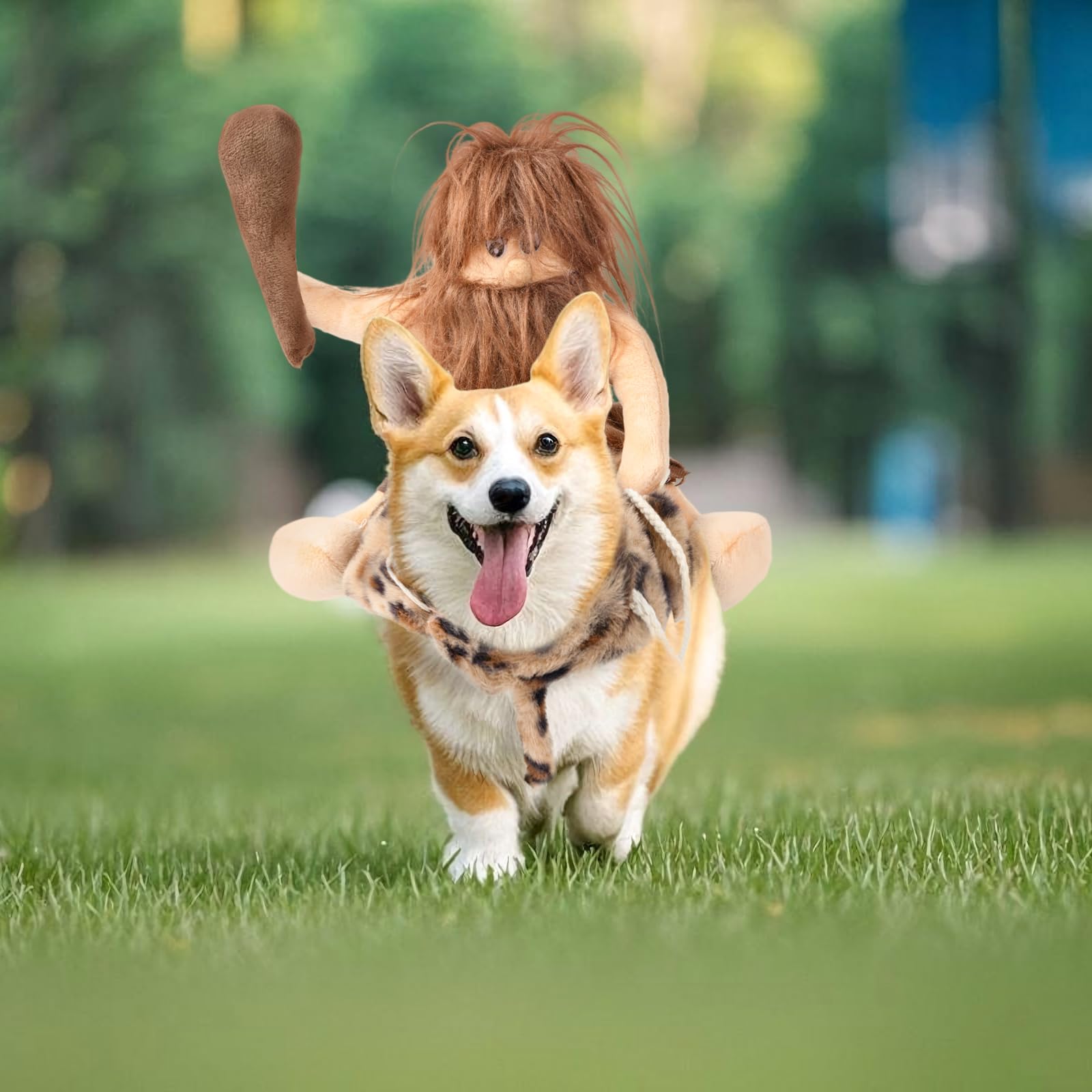 DELIFUR Costume di Halloween per cani, divertente, da cowboy, da equitazione, costume per animali domestici, costume da cowboy, per cani di taglia piccola, media e grande (uomo primitivo, XL)