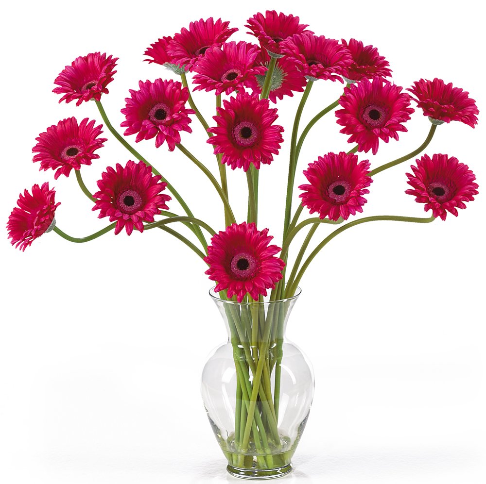 Nearly Natural 1086-BU Gerber Daisy Liquid Illusion Silk Flower Arrangement, Beauty