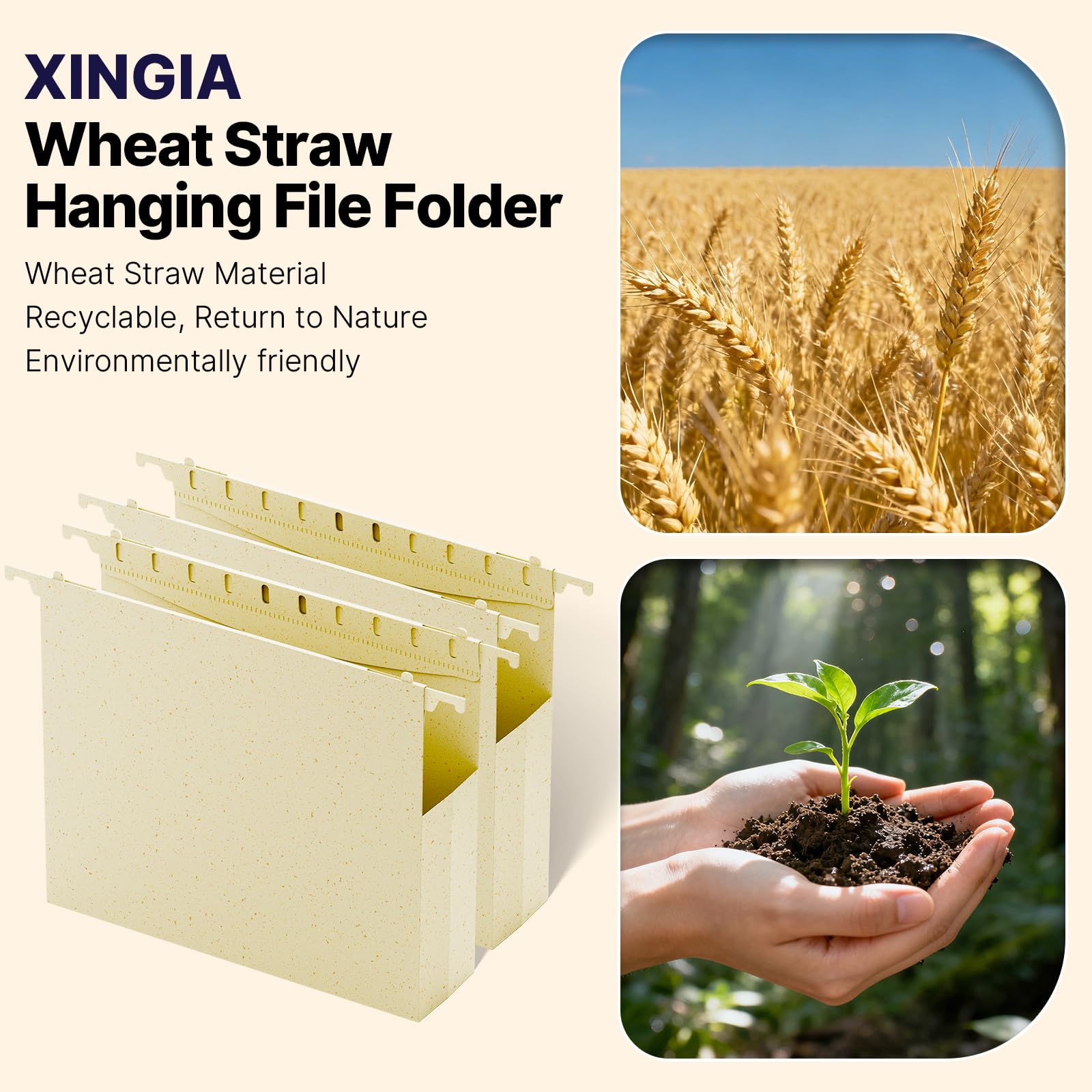 XINGIA Cartelline portadocumenti in plastica di paglia di grano, 5 cm, espandibili, resistenti, con linguetta, confezione da 12 cartelle con linguetta (beige Morandi)