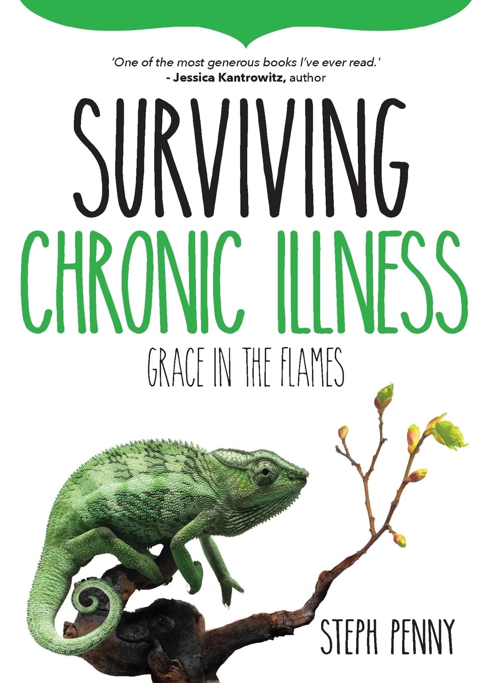 Surviving Chronic Illness: Grace in the Flames: 3 (Survival)