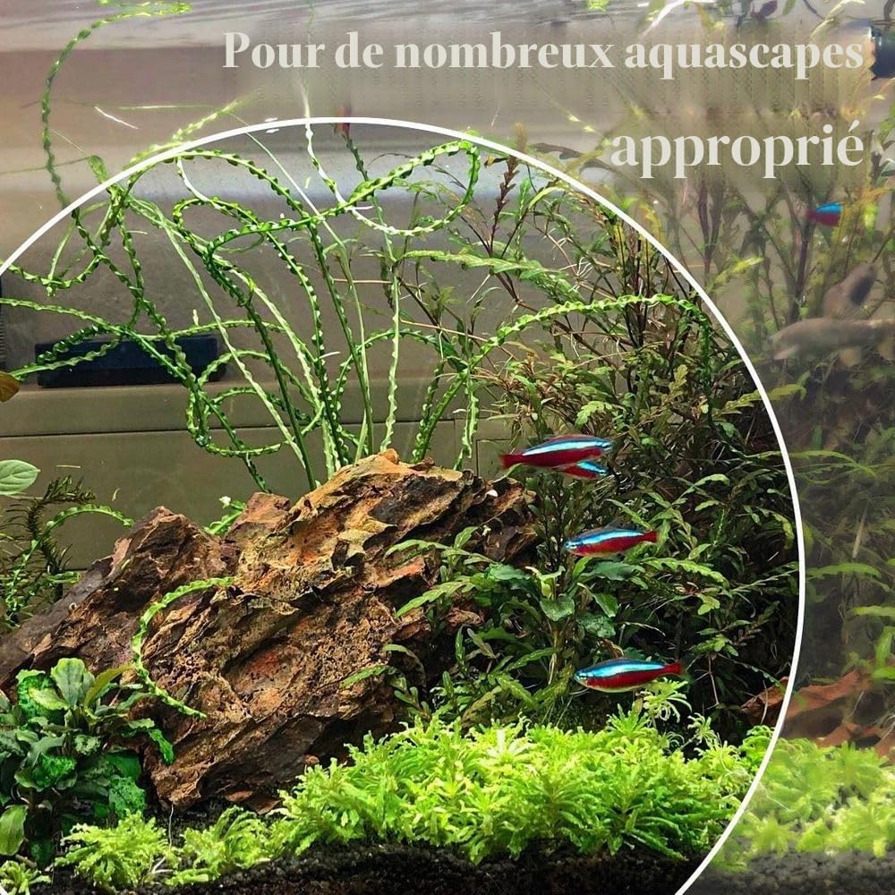 AquaOne Lot de 10 kg de pierres naturelles pour aquarium - Mélange de pierres naturelles - Taille S à XL - Pierre d'aquascaping - Décoration de roche - Fond marron