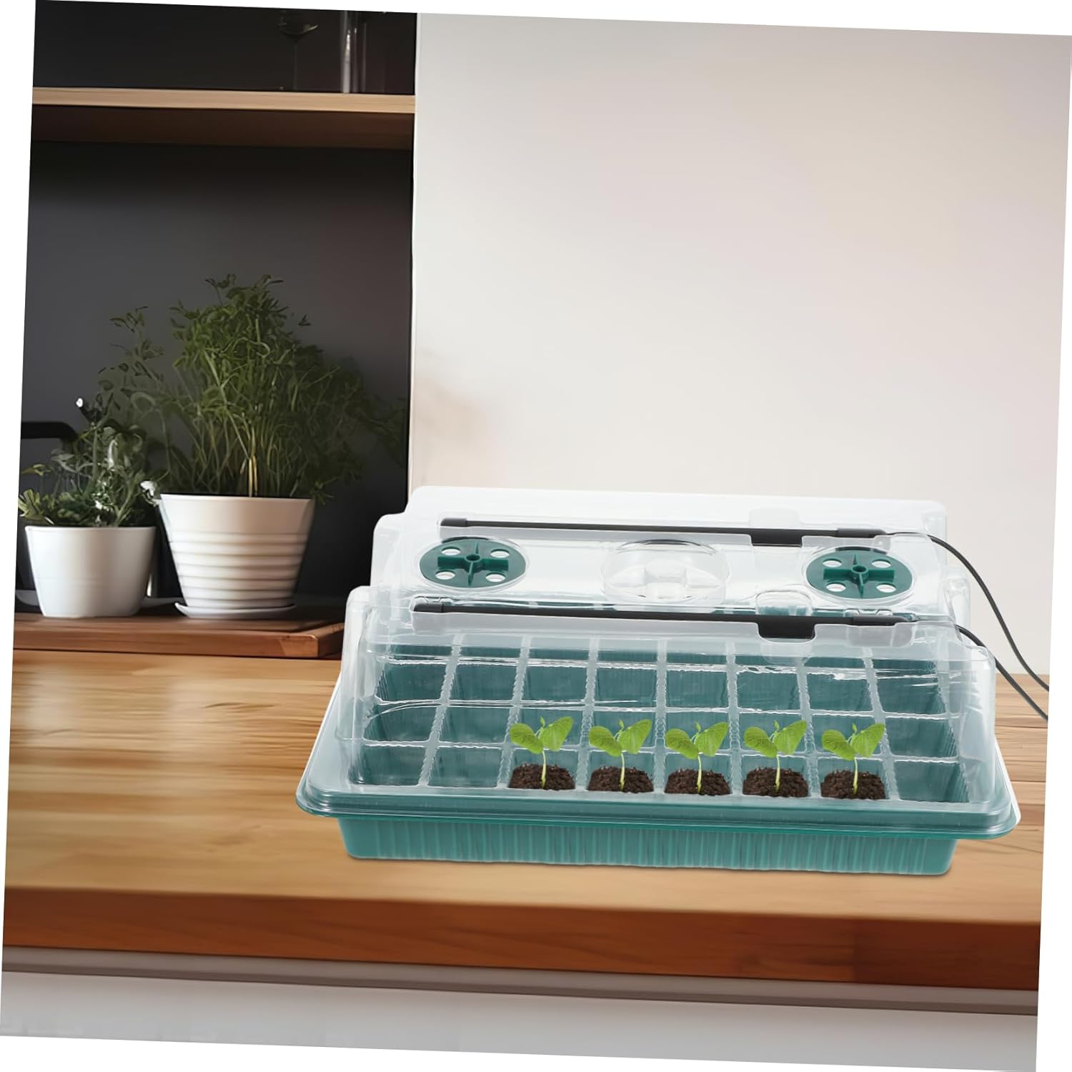 BESPORTBLE 2sets Seed Starting Kit Grow Light Full Starter Trays for Indoor Plant Germination and Efficient Growth Includes Timed Lighting and Humidity Domes