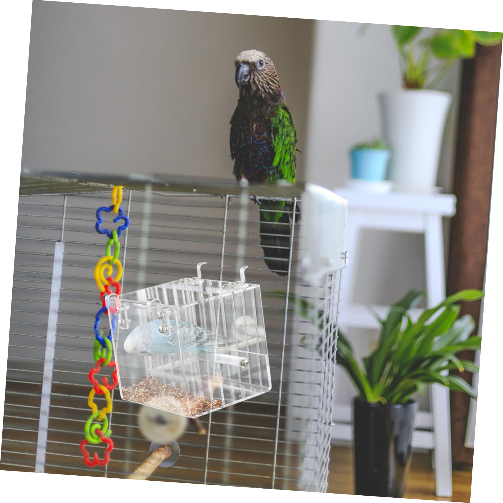 VICASKY Mangeoire pour Oiseaux Automatique Gamelle pour Perroquets Accessoire pour Cage Bol Alimentation pour Oiseaux