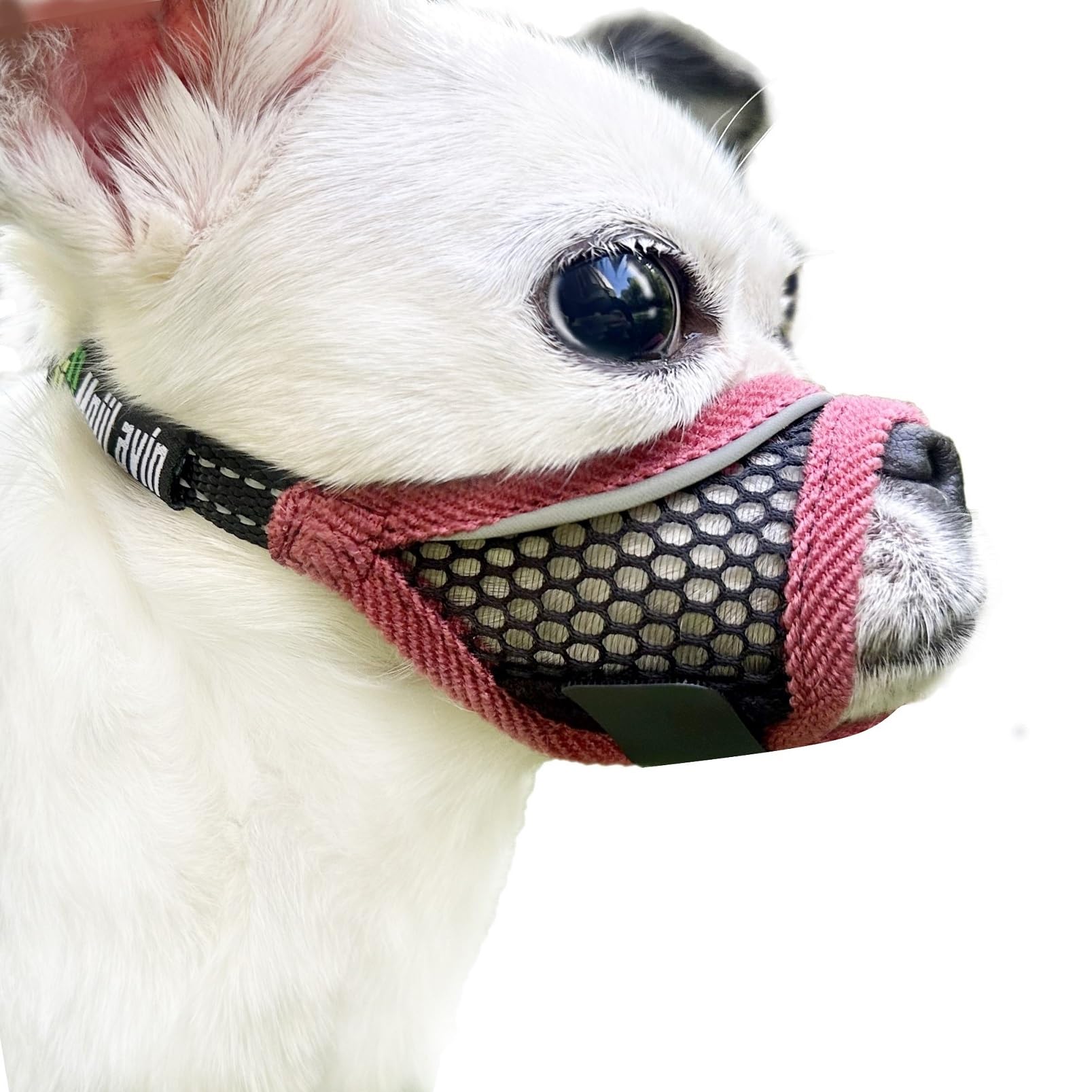 Dog Muzzle for Small Medium Dogs Breathable Adjustable, Chihuahua Shih Tzu Puppy, Soft Air Mesh Muzzle for Grooming Vet Visits, Prevent Biting Fierce Barking (Cherry-red, M)